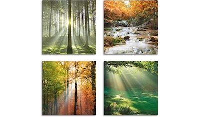 Artland Leinwandbild »Wald Bach Frühling Windrosen Sonne Baum«, Wald, (4 St.),  4er Set, verschiedene Grössen online kaufen | Jelmoli-Versand
