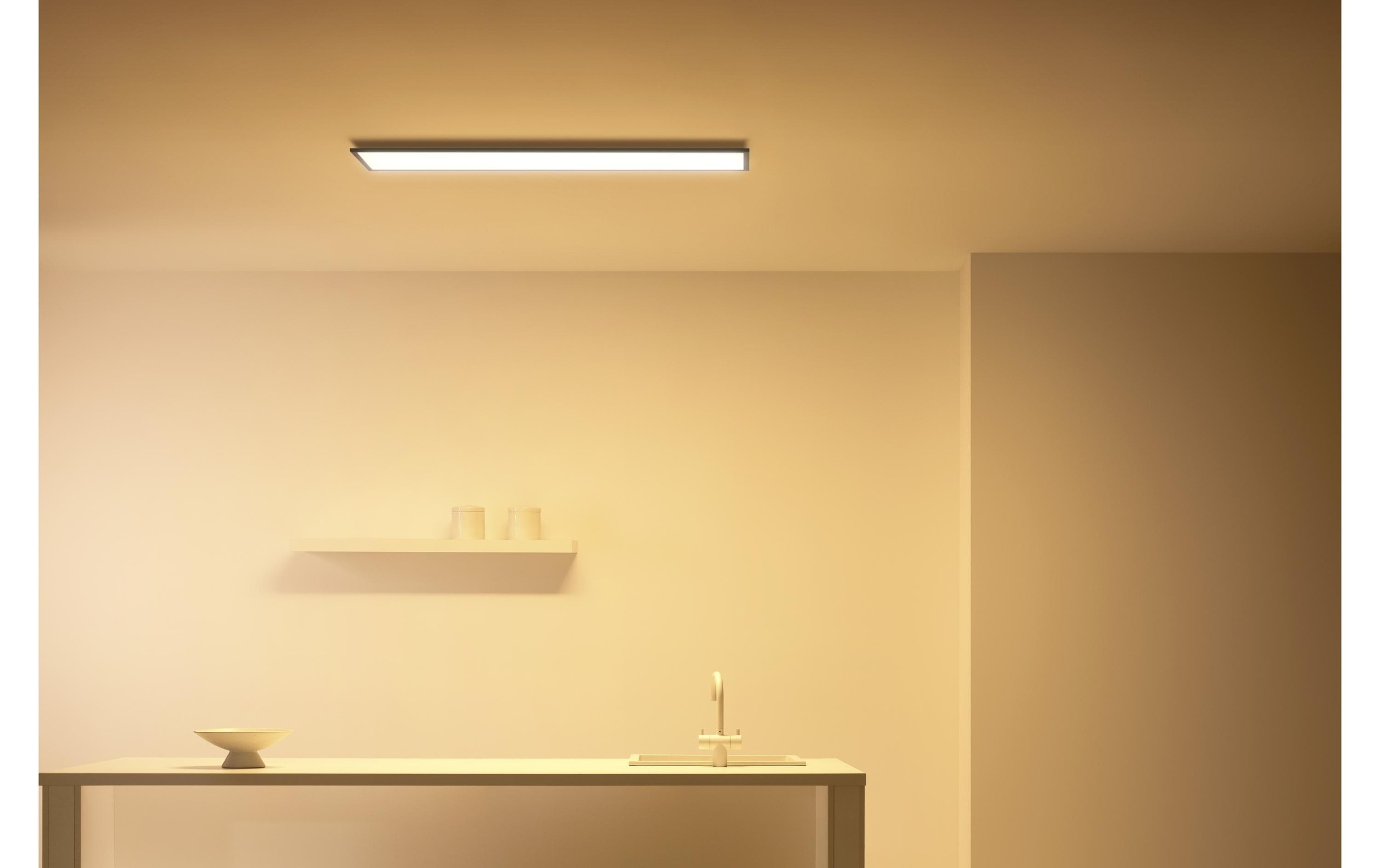 Philips Hue LED Deckenleuchte »White & Color Ambiance Outdoor Resonate Wandl. Schwarz«