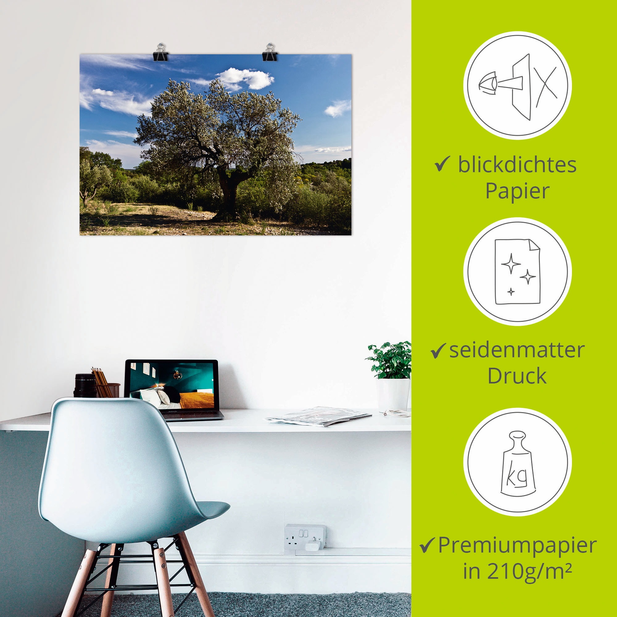 Artland Wandbild »Olivenbaum in Südfrankreich«, Bäume, (1 St.), als Alubild, Outdoorbild, Leinwandbild, Poster in verschied. Grössen
