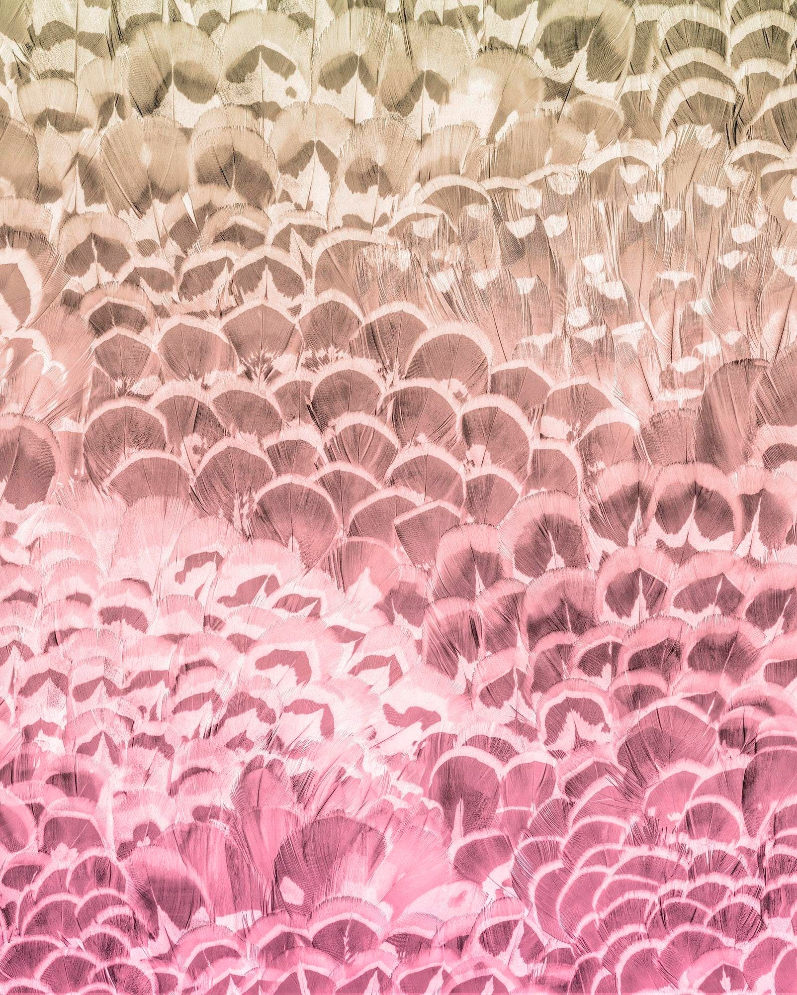 Komar Vliestapete "Digitaldruck Vlies - Pale Feathers - Grösse 200 x 250 cm" bedruckt glatt Wohnzimmer, Schlafzimmer