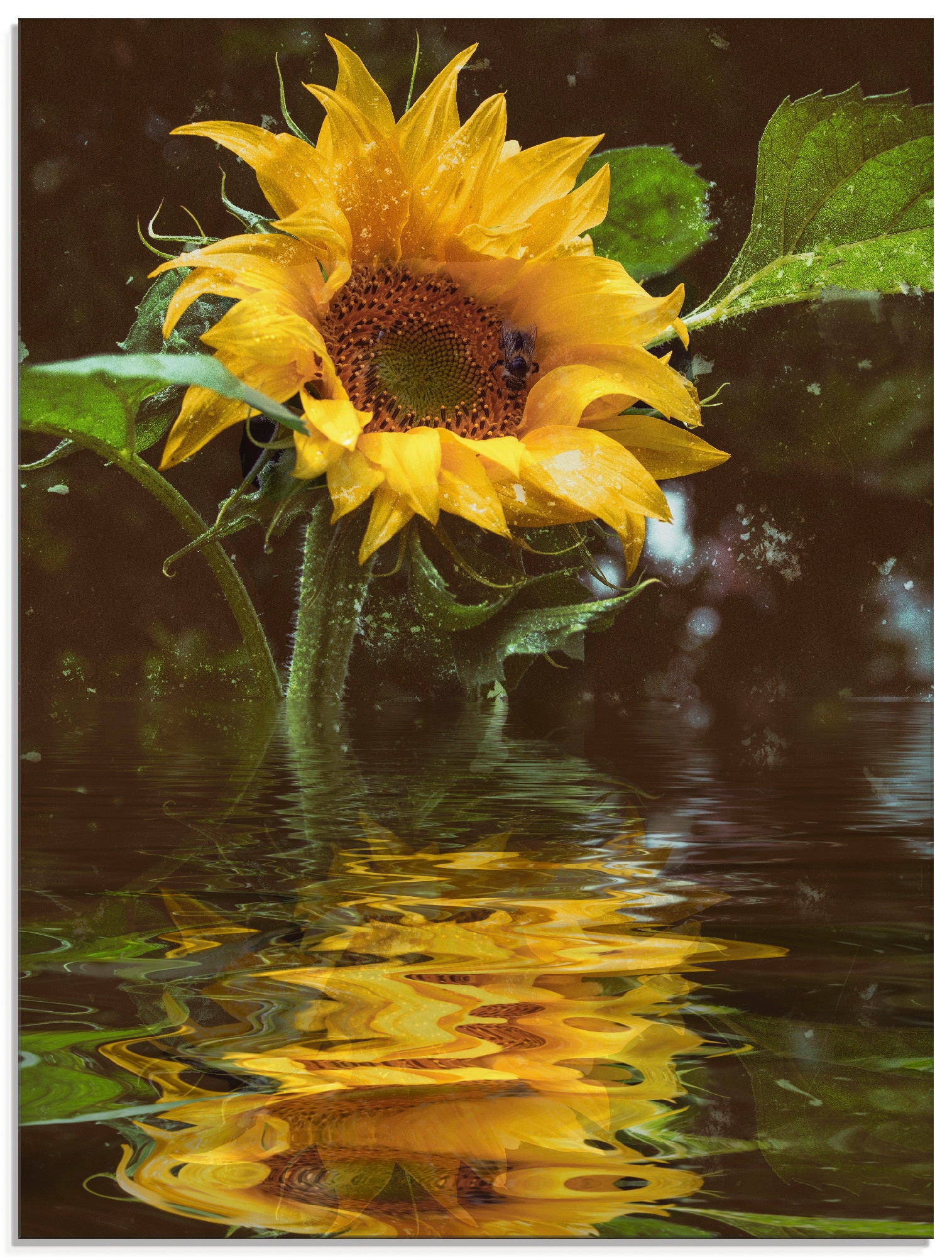 Artland Glasbild »Sonnenblume Grössen | online (1 kaufen Blumen, St.), verschiedenen Jelmoli-Versand Wasserspiegelung«, mit in
