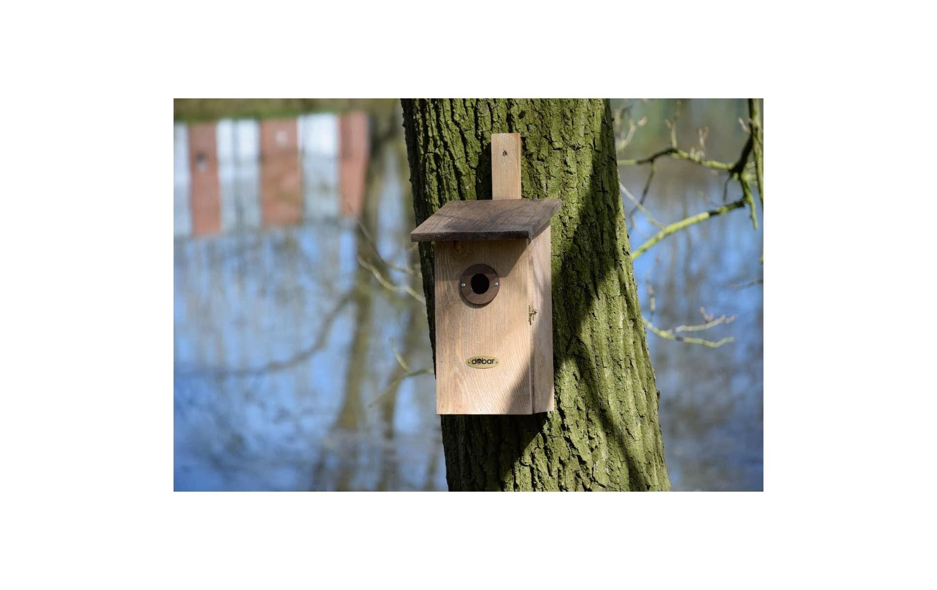 dobar Nistkasten »dobar«, Holzart: Kiefer (Europa)