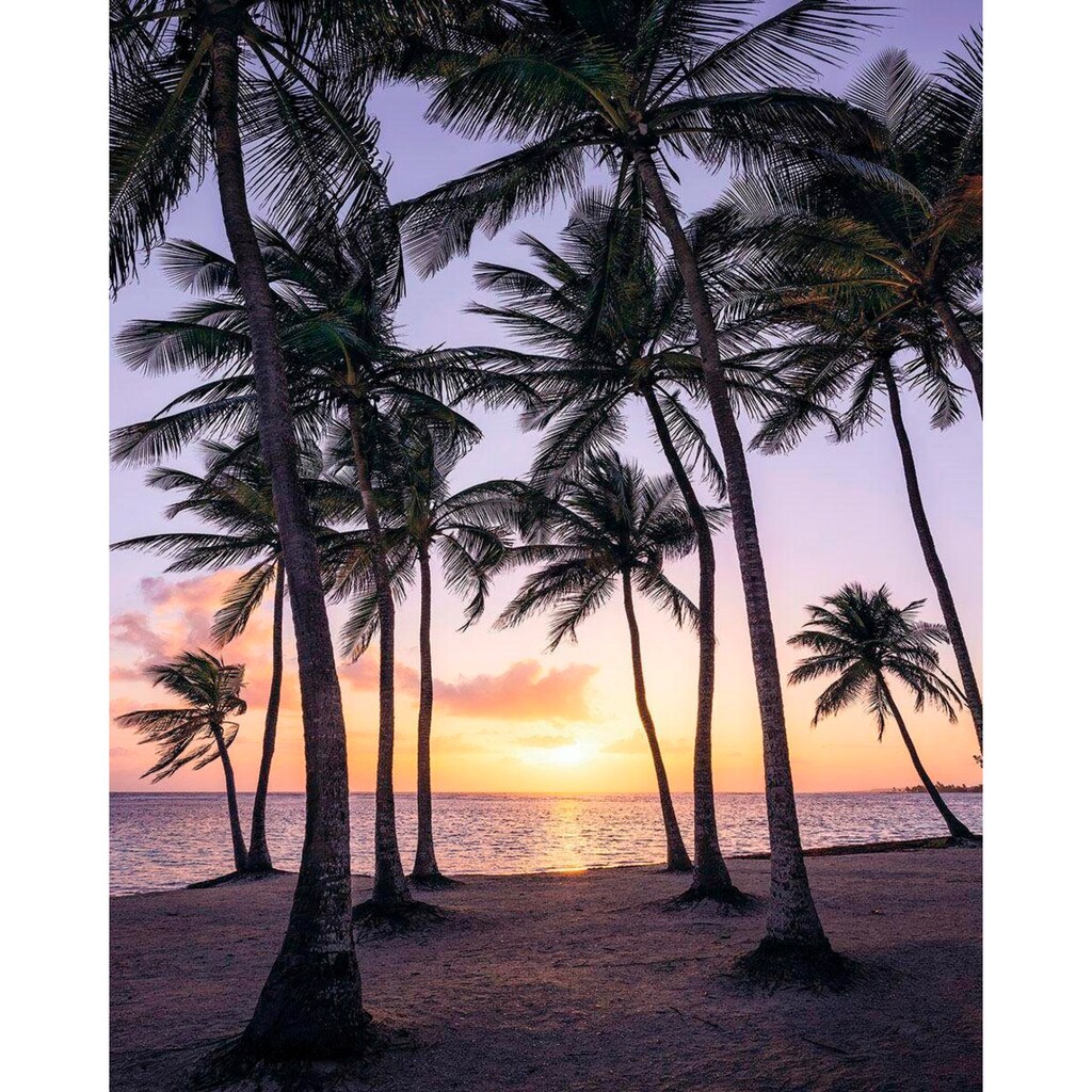 Komar Vliestapete »Palmtrees on Beach«