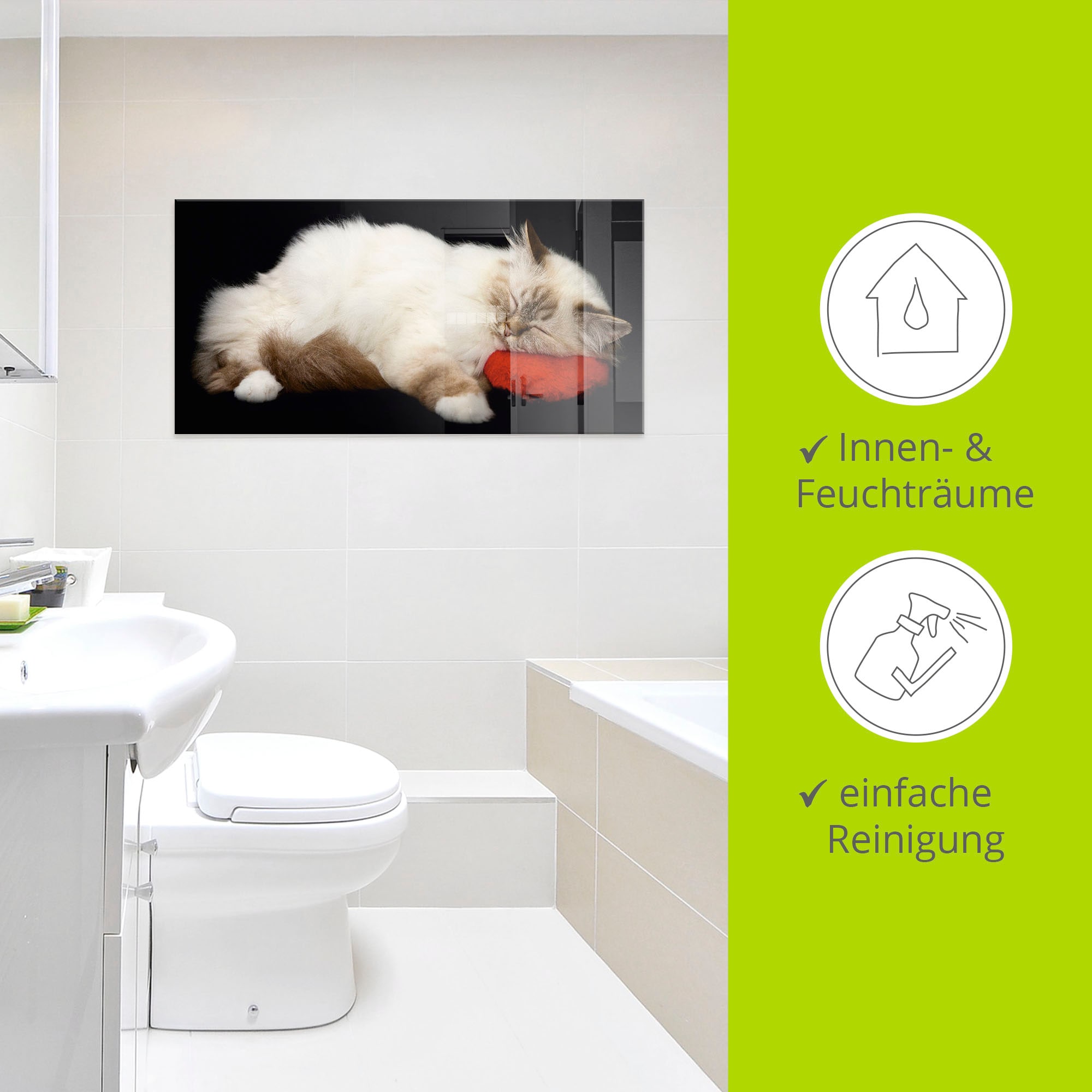Artland Glasbild »Müde Katze«, Haustiere, (1 St.), in verschiedenen Grössen