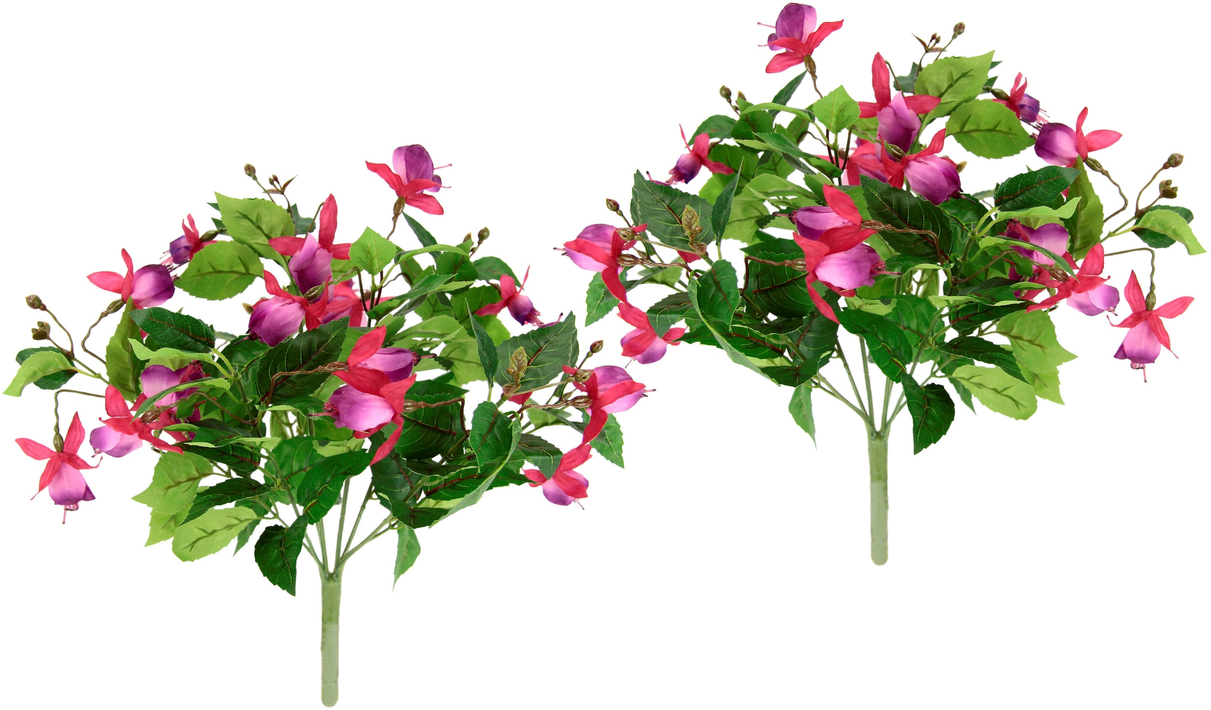 I.GE.A. Kunstblume »Fuchsienbusch«, 2er Jelmoli-Versand online Hybrid | Zimmerpflanze Deko Topfpflanze Set Hort shoppen Doppelblütenblätter