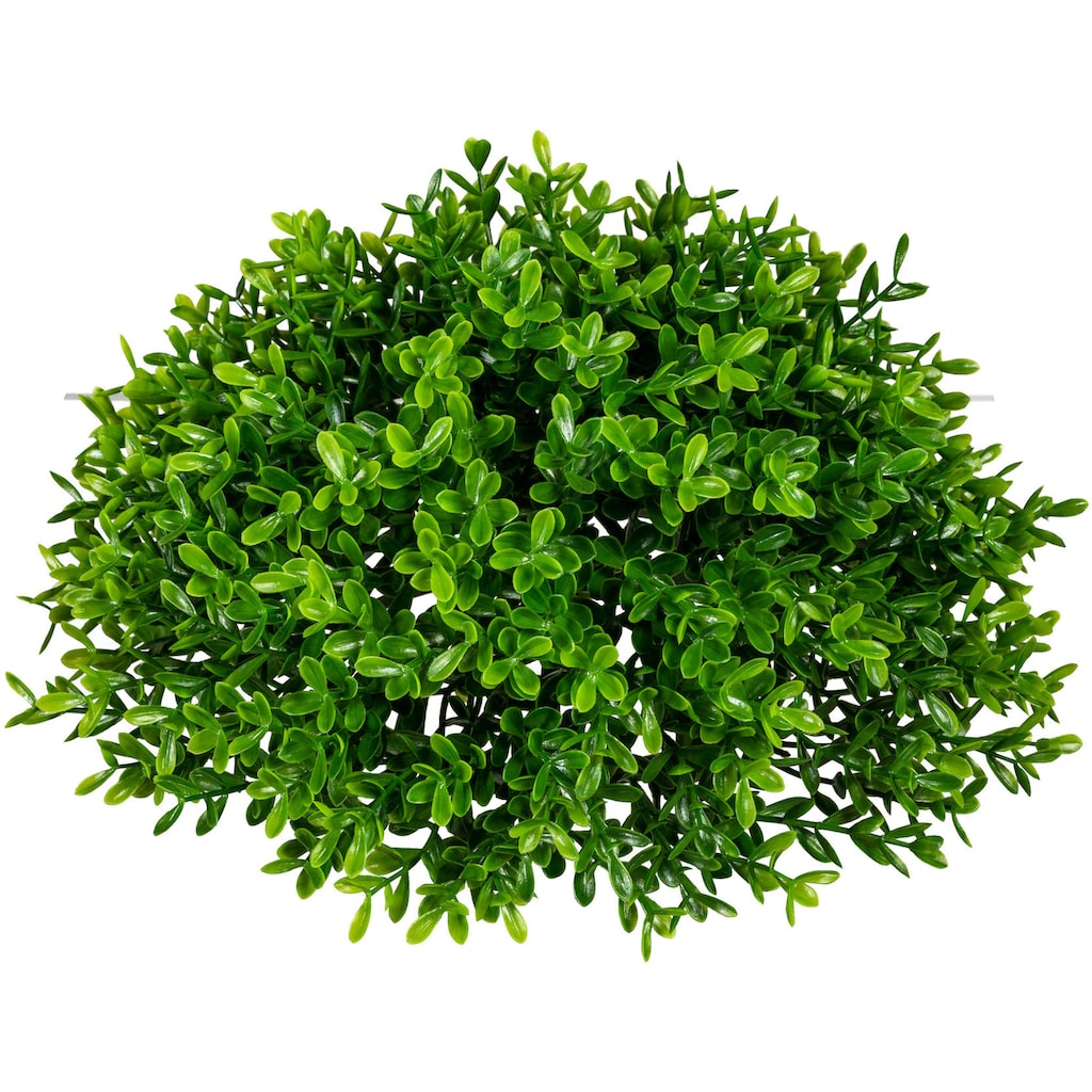 Creativ green Kunstpflanze »Teeblatt-Halbkugel«