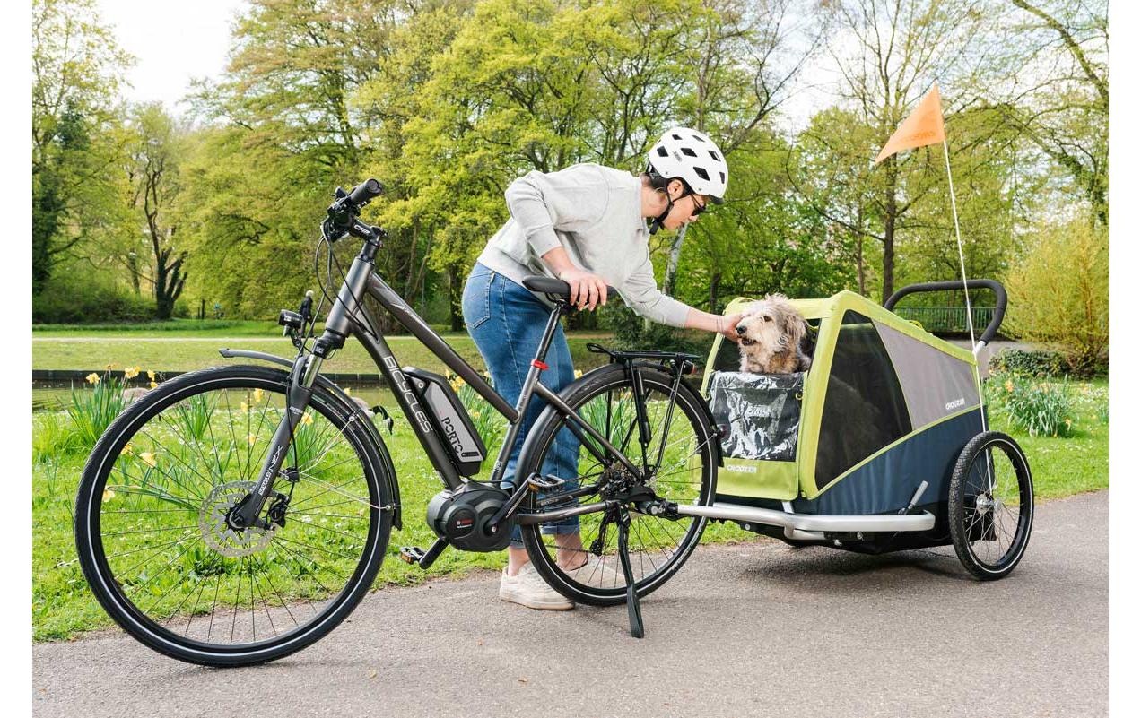 Croozer Fahrradhundeanhänger »Dog Jokke (XL)«