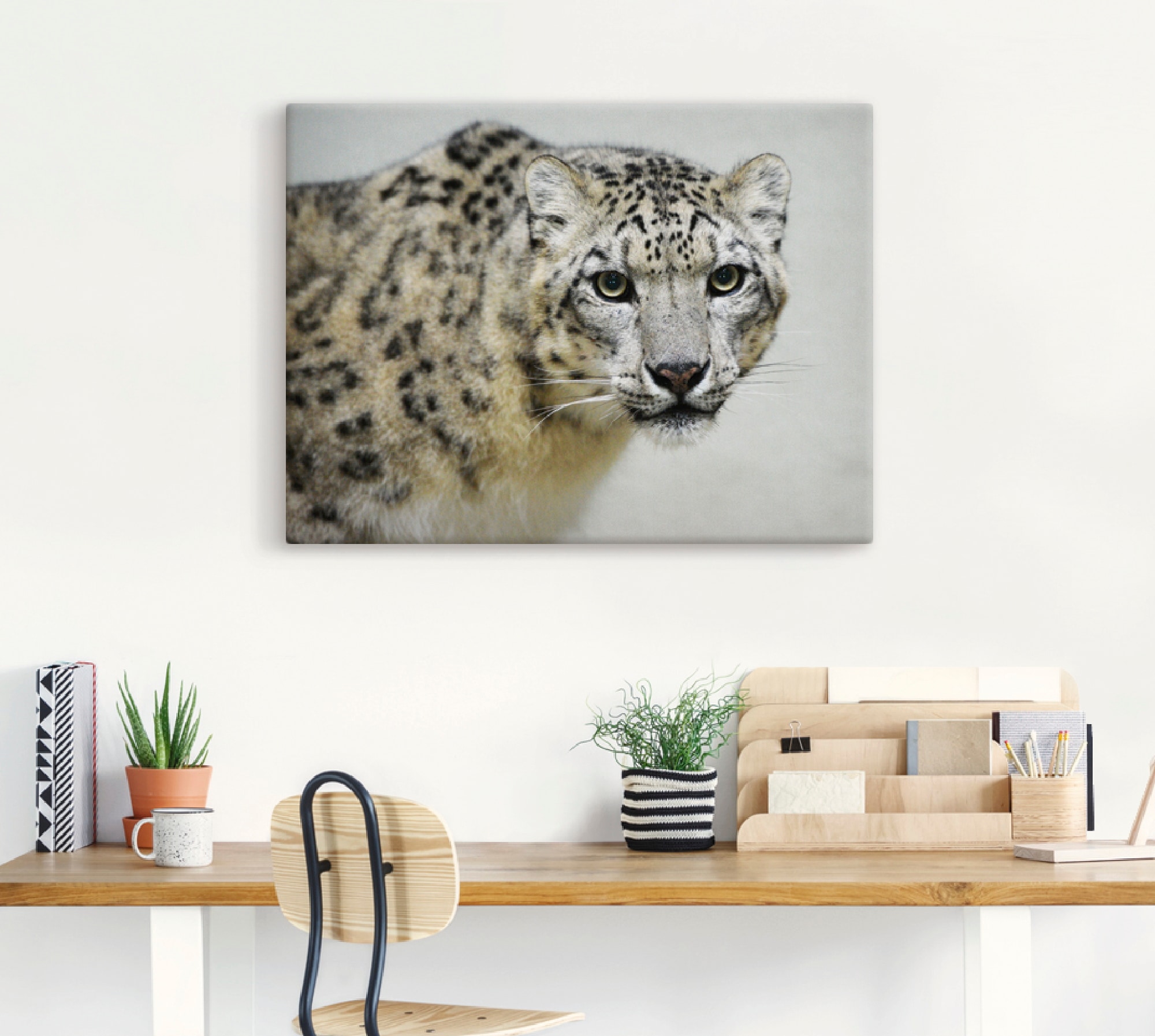 Artland Wandbild »Schneeleopard«, Wildtiere, (1 St.), als Alubild, Outdoorbild, Leinwandbild in verschied. Grössen