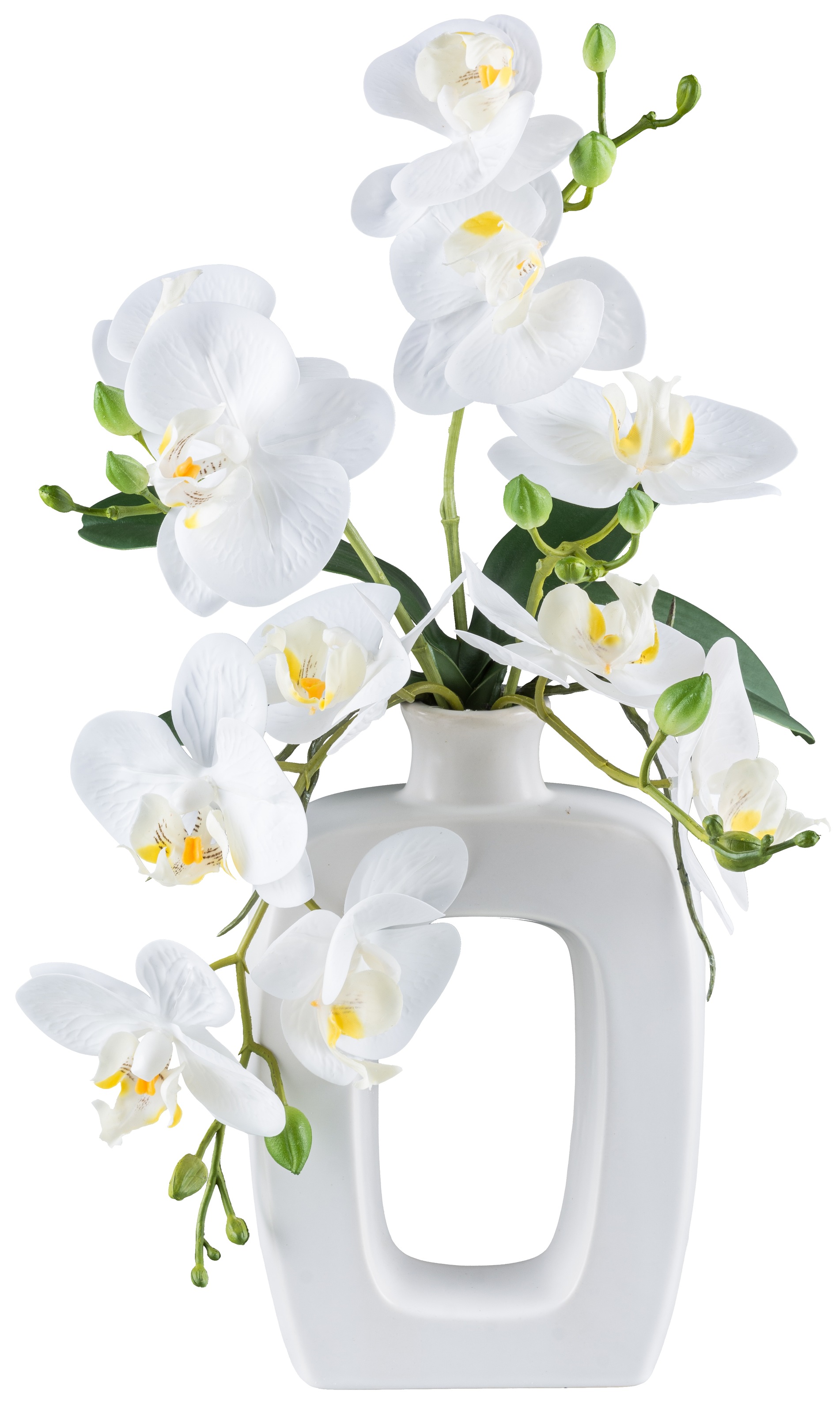 my home Kunstpflanze »Orchidee Phalaenopsis« im Design-Gefäss
