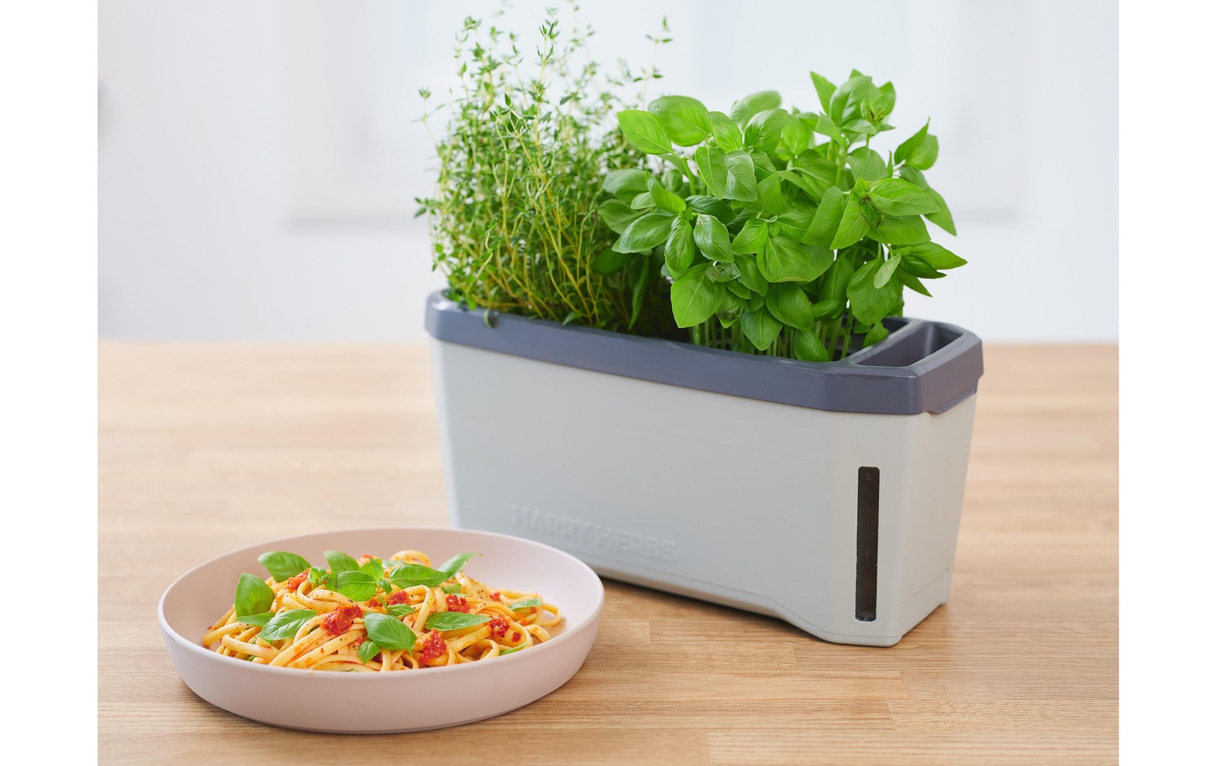 Gusta Garden Kräutertopf »HERBS hellgrau«, (1 St.)