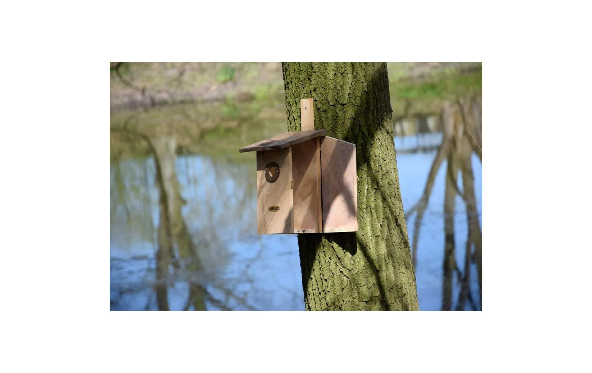 dobar Nistkasten »dobar«, Holzart: Kiefer (Europa)