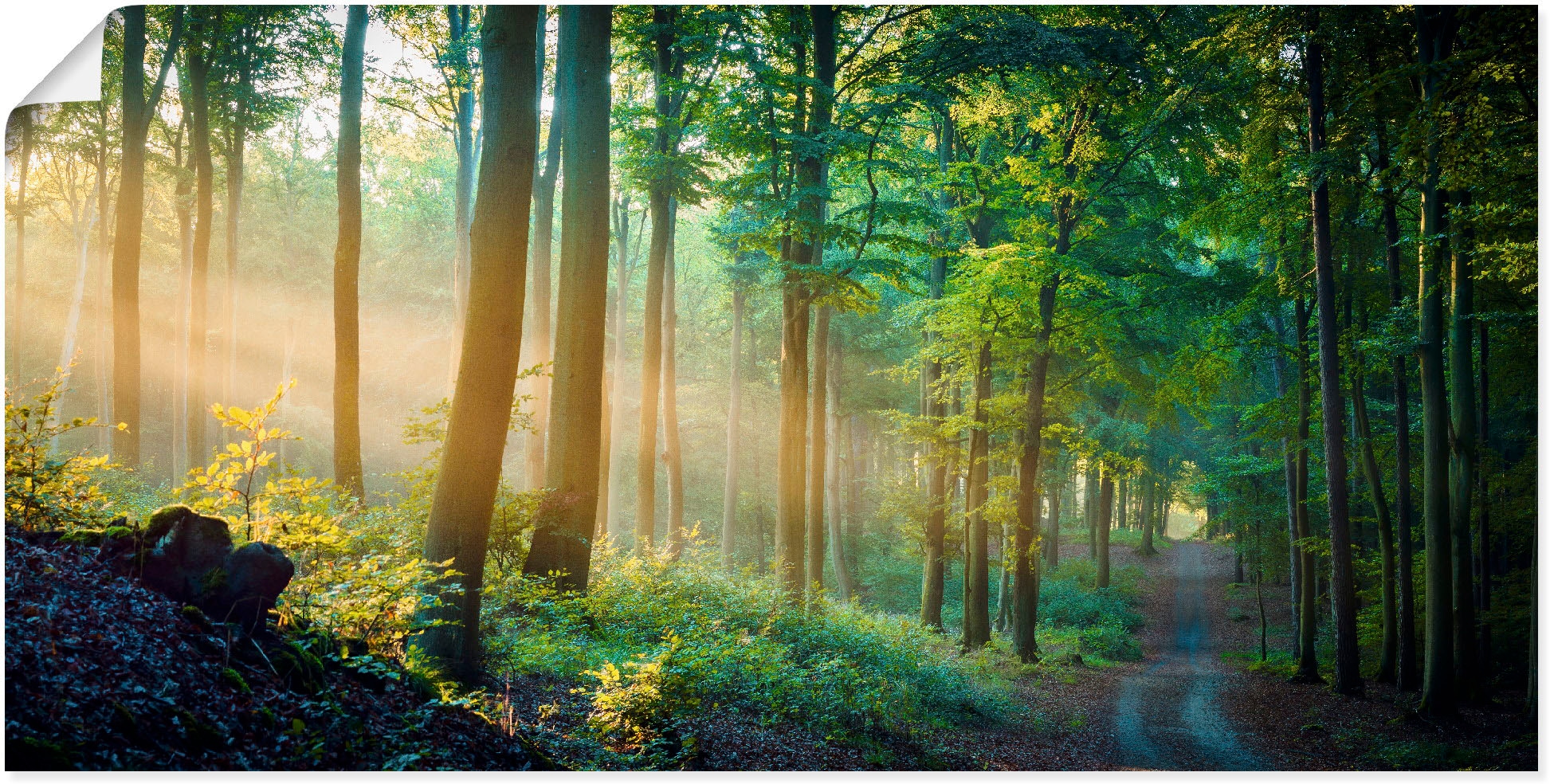 Artland Wandbild »Herbstmorgen im Wald«, Waldbilder, (1 St.), als Alubild,  Leinwandbild, Wandaufkleber oder Poster in versch. Grössen online shoppen |  Jelmoli-Versand
