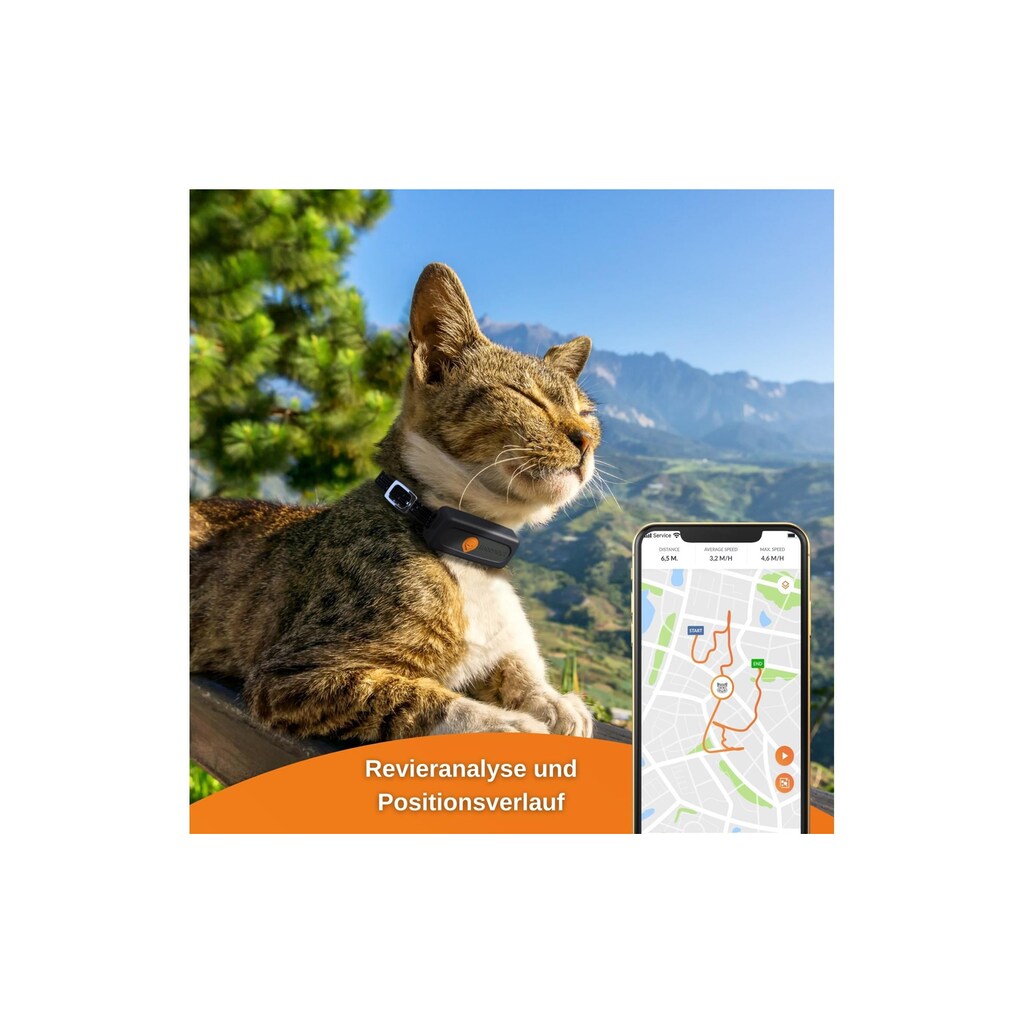 GPS-Tracker »Weenect XS für Katzen Schwarz«