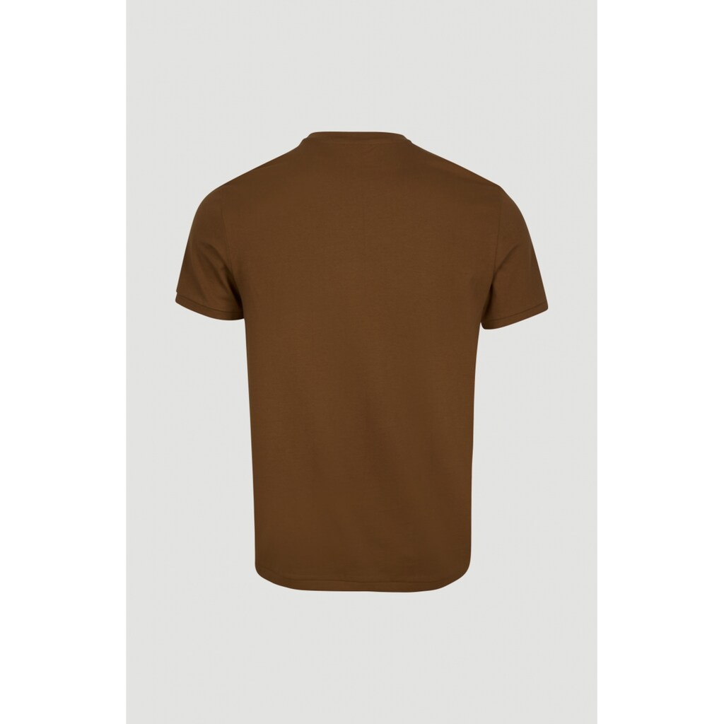 O'Neill T-Shirt »Mountain Frame Ss T-Shirt«