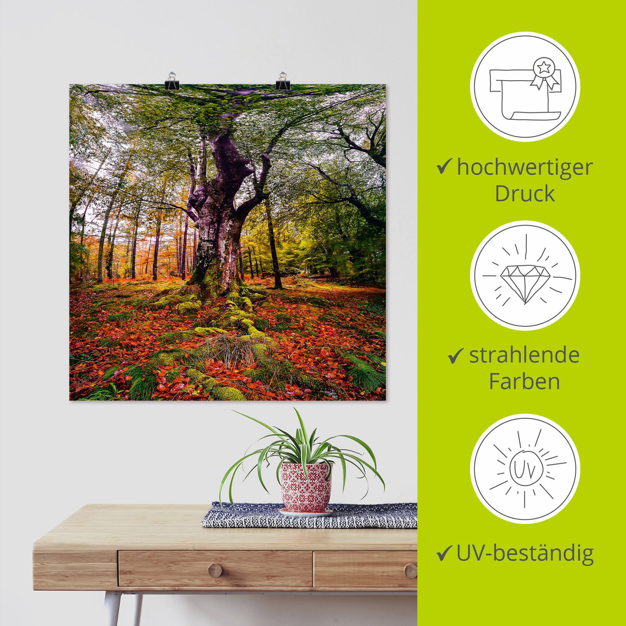 Artland Wandbild »Baum im Wald«, Baumbilder, (1 St.), als Alubild,  Leinwandbild, Wandaufkleber oder Poster in versch. Grössen online kaufen |  Jelmoli-Versand