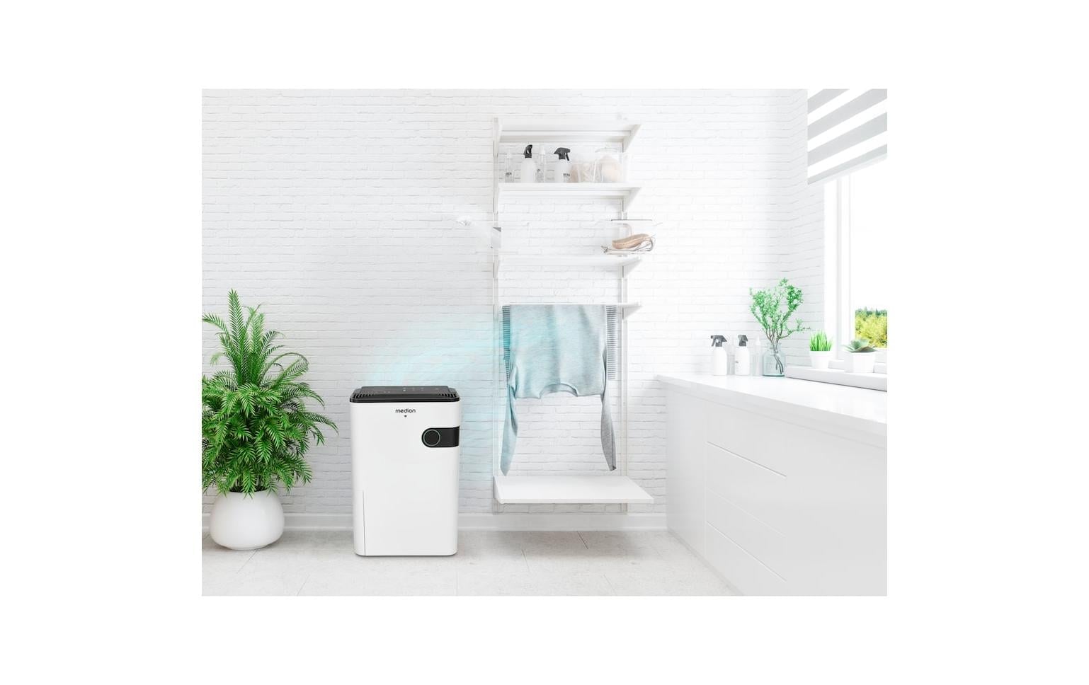 Medion® Luftentfeuchter »DH30S, 40 m²«, für 100 m³ Räume, Entfeuchtung 24 l/Tag, Tank 5 l
