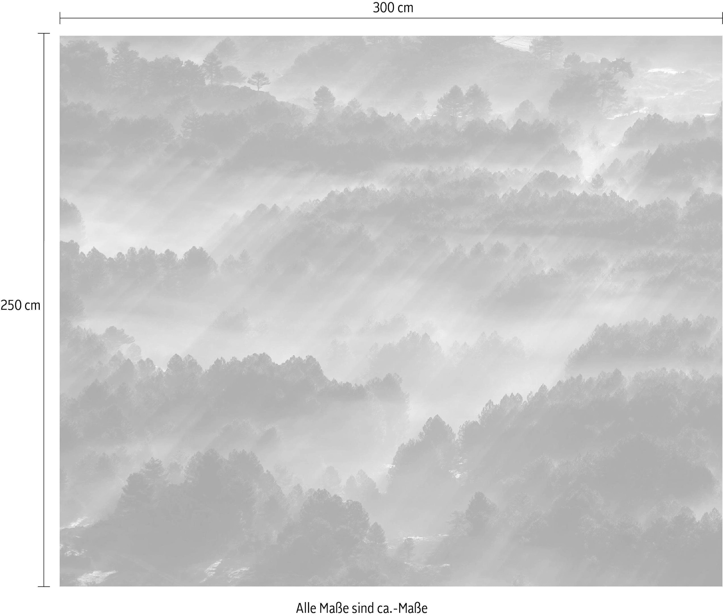 Komar Vliestapete »Digitaldruck Vlies - Rays - Grösse 300 x 250 cm«, bedruckt, Wohnzimmer, Schlafzimmer