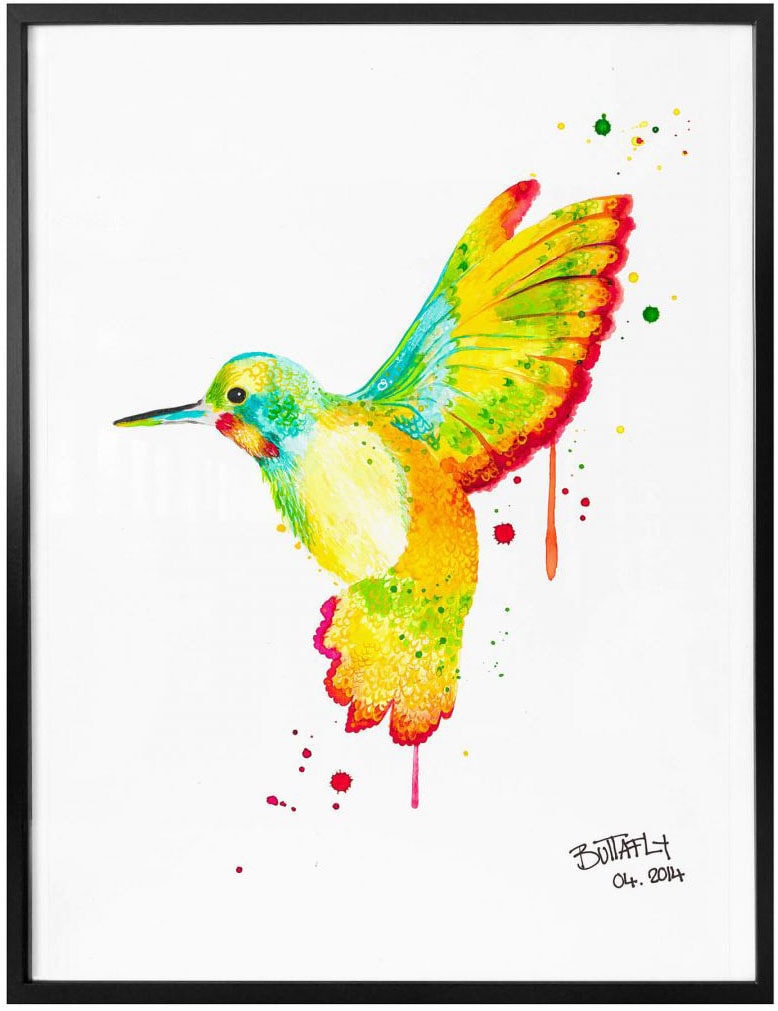Poster | »Kolibri«, Wandposter online Poster, Vögel, (1 Wall-Art St.), Wandbild, Jelmoli-Versand Bild, shoppen