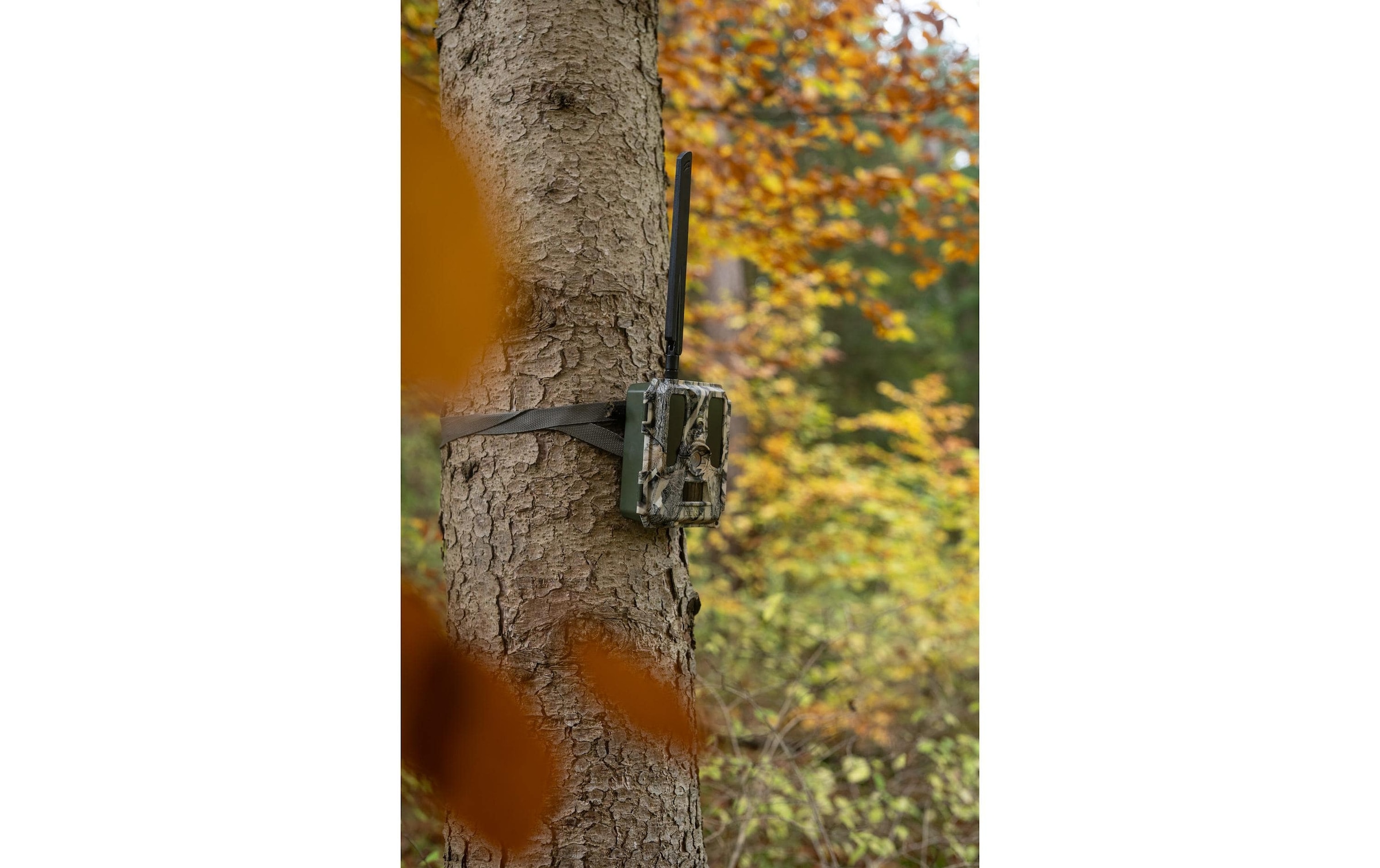 Wildkamera »Dörr Wildkamera SnapShot Cloud Pro 4G«, Aussenbereich