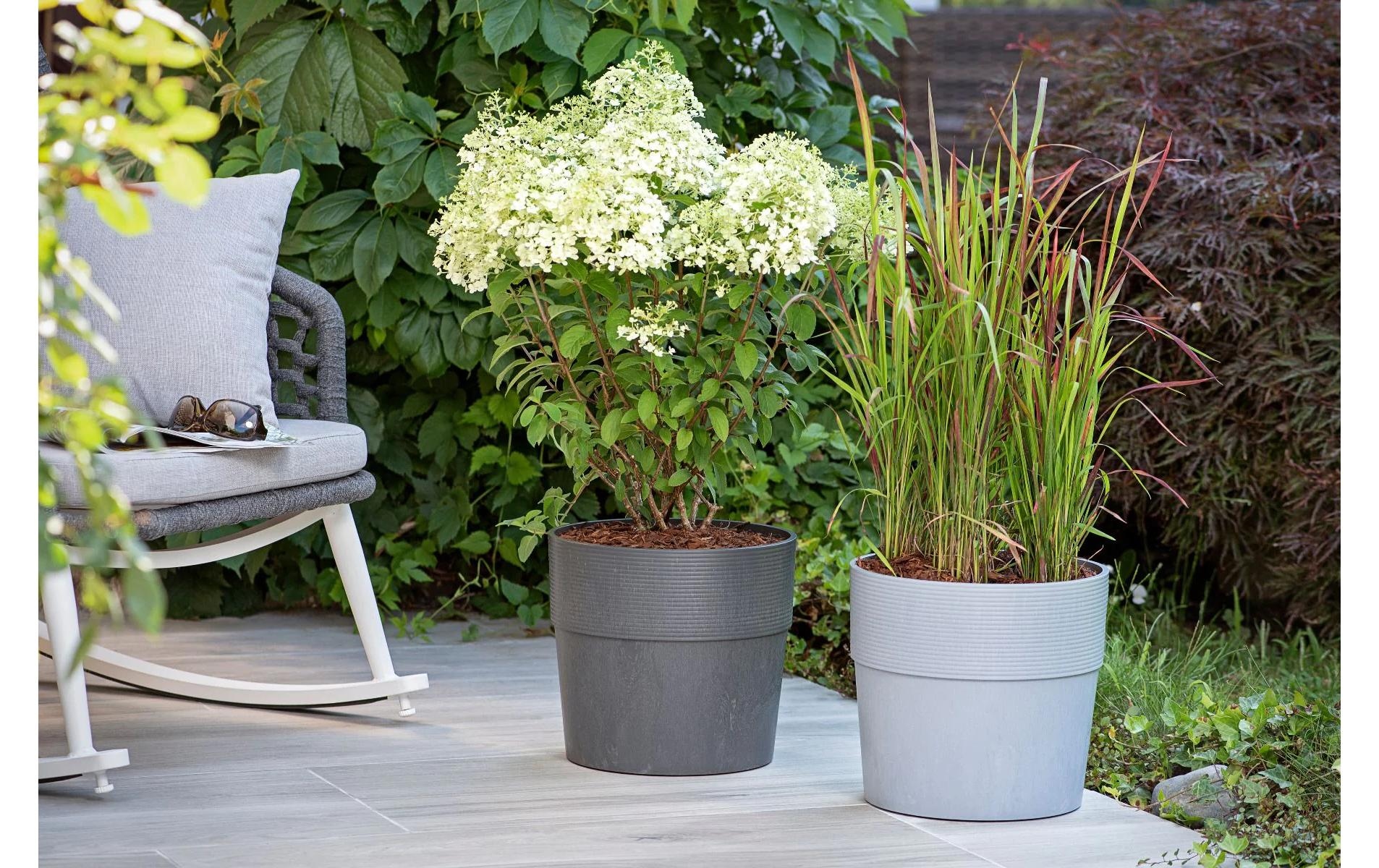 Scheurich Blumentopf »Groove+ Carbon«