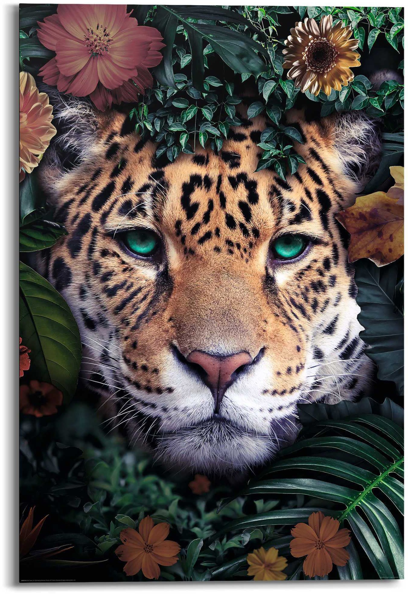 Wandbild bestellen Jelmoli-Versand online | »Leopard« Reinders!