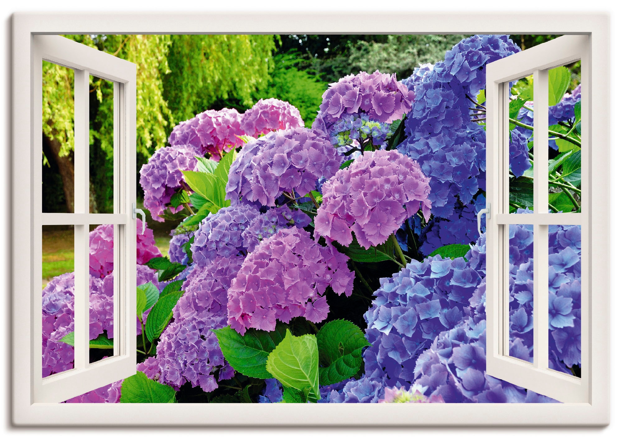 Artland Wandbild »Fensterblick Hortensien (1 im bestellen online Poster in als Garten«, St.), Jelmoli-Versand Grössen Leinwandbild, Blumen, | verschied