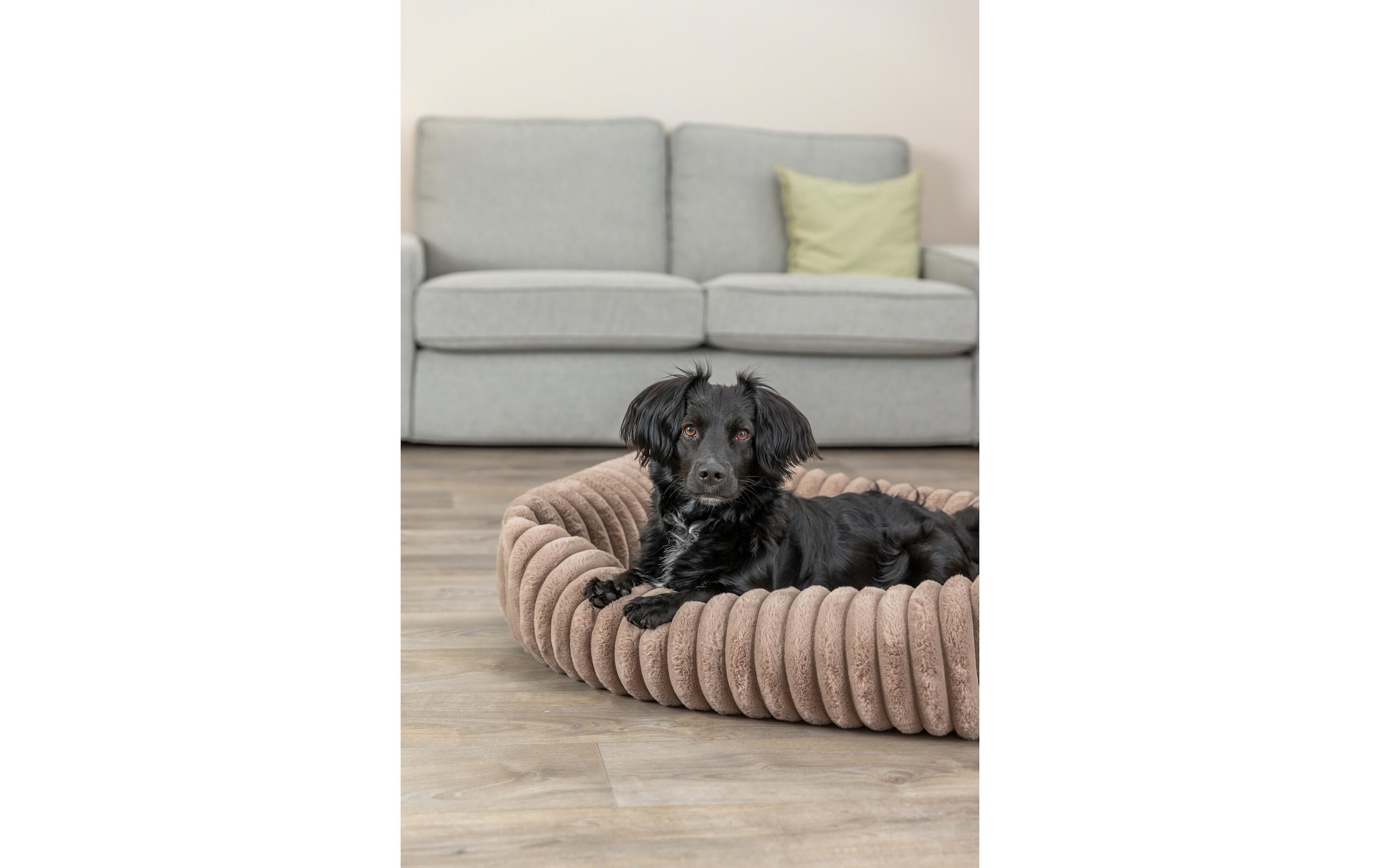 TRIXIE Tierbett »Lonni 65 cm x 50 cm«