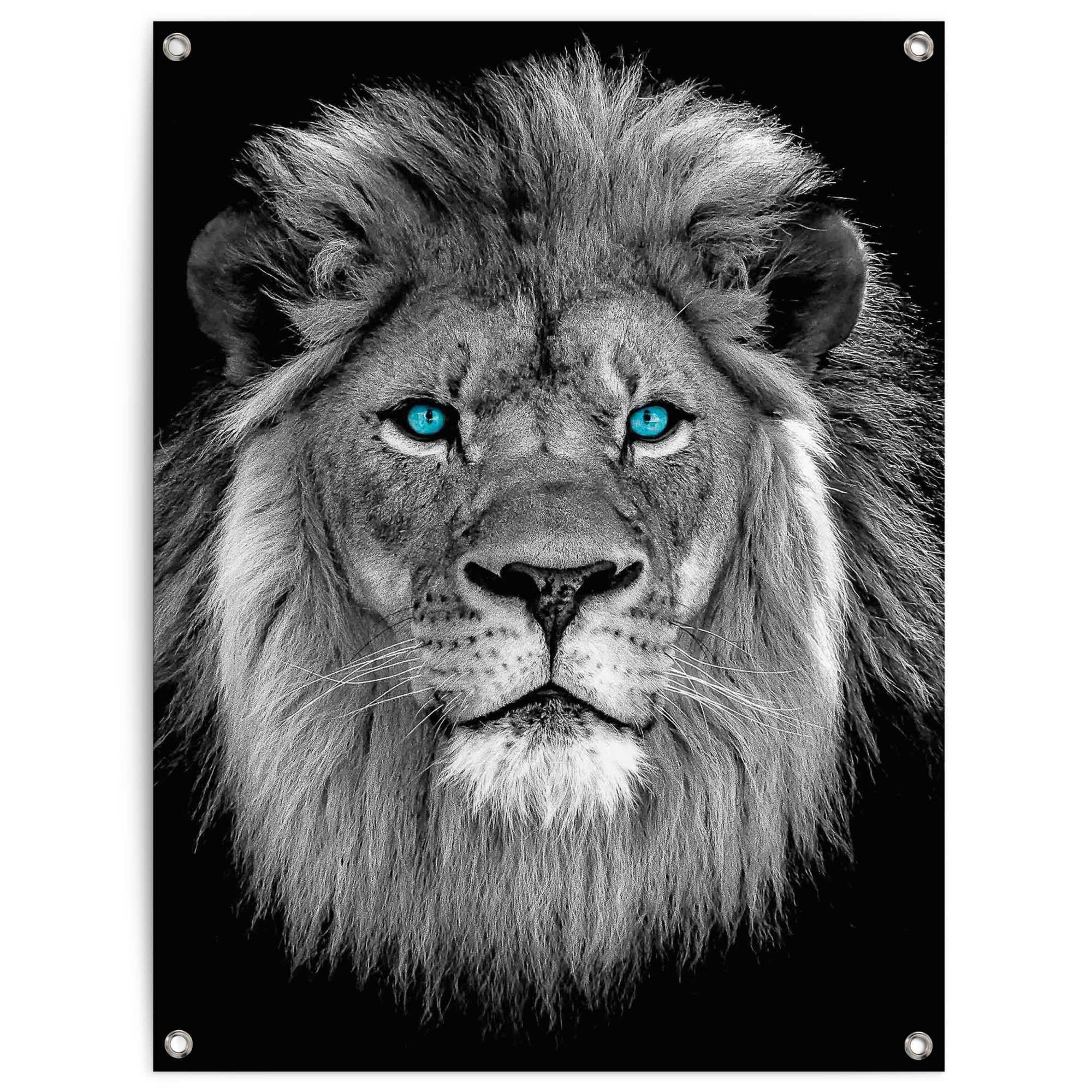 Reinders! Poster »Löwe mit blaue Augen«, Outdoor für Garten oder Balkon  online bestellen | Jelmoli-Versand | Poster
