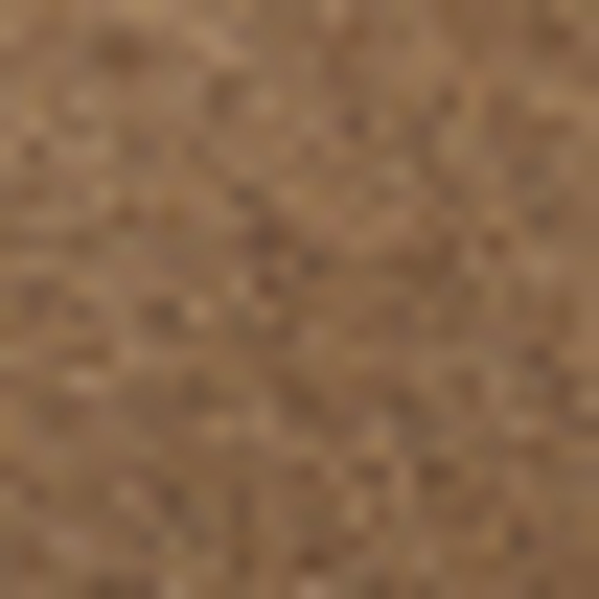BOSS Ledergürtel »Scarlet BB Sz25«, mit Monogramm-Label