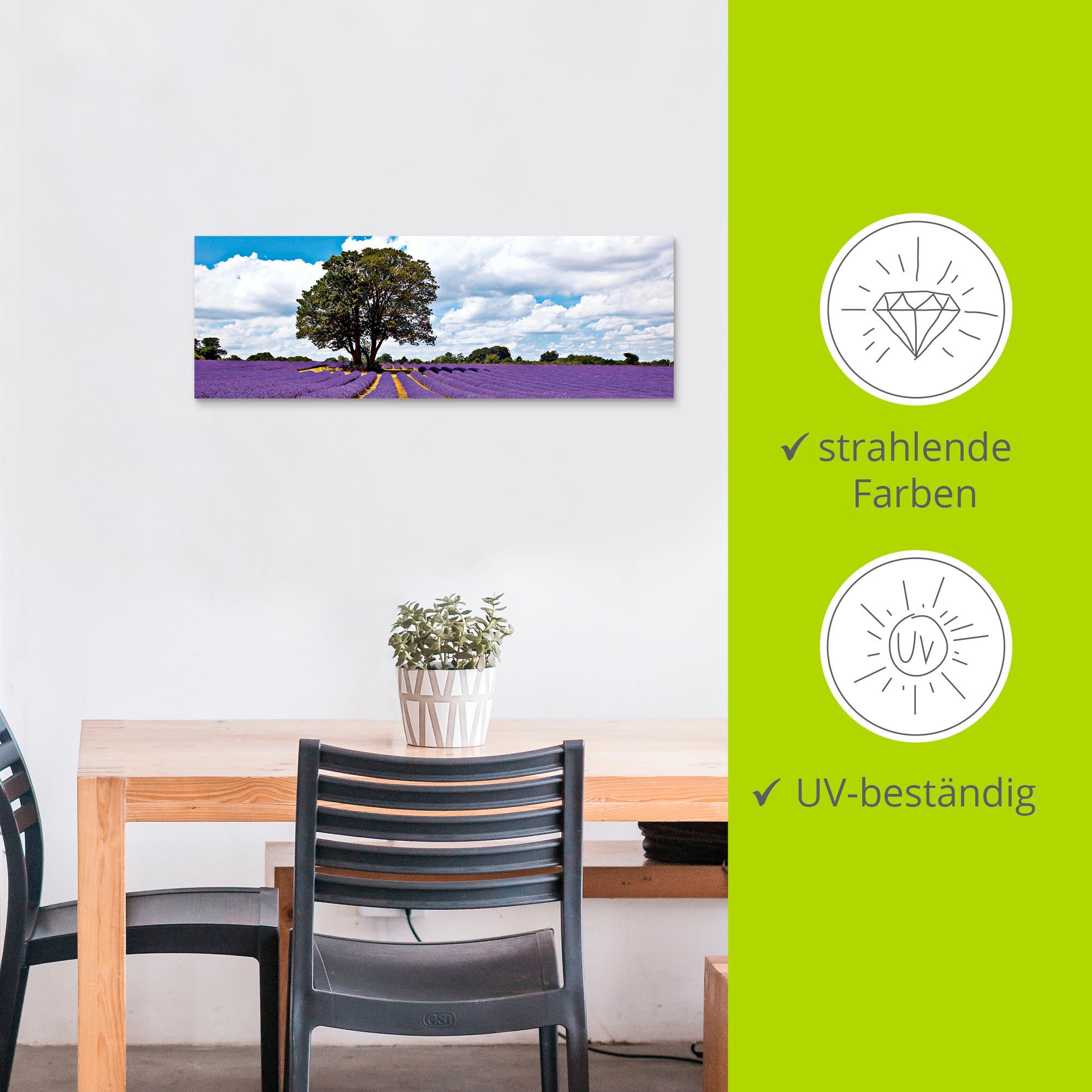 Artland Wandbild »Schönes Lavendelfeld im Sommer«, Felder, (1 St.), als Alubild, Outdoorbild, Leinwandbild in verschied. Grössen