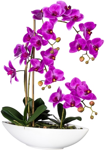 Kunstorchidee »Phalaenopsis«