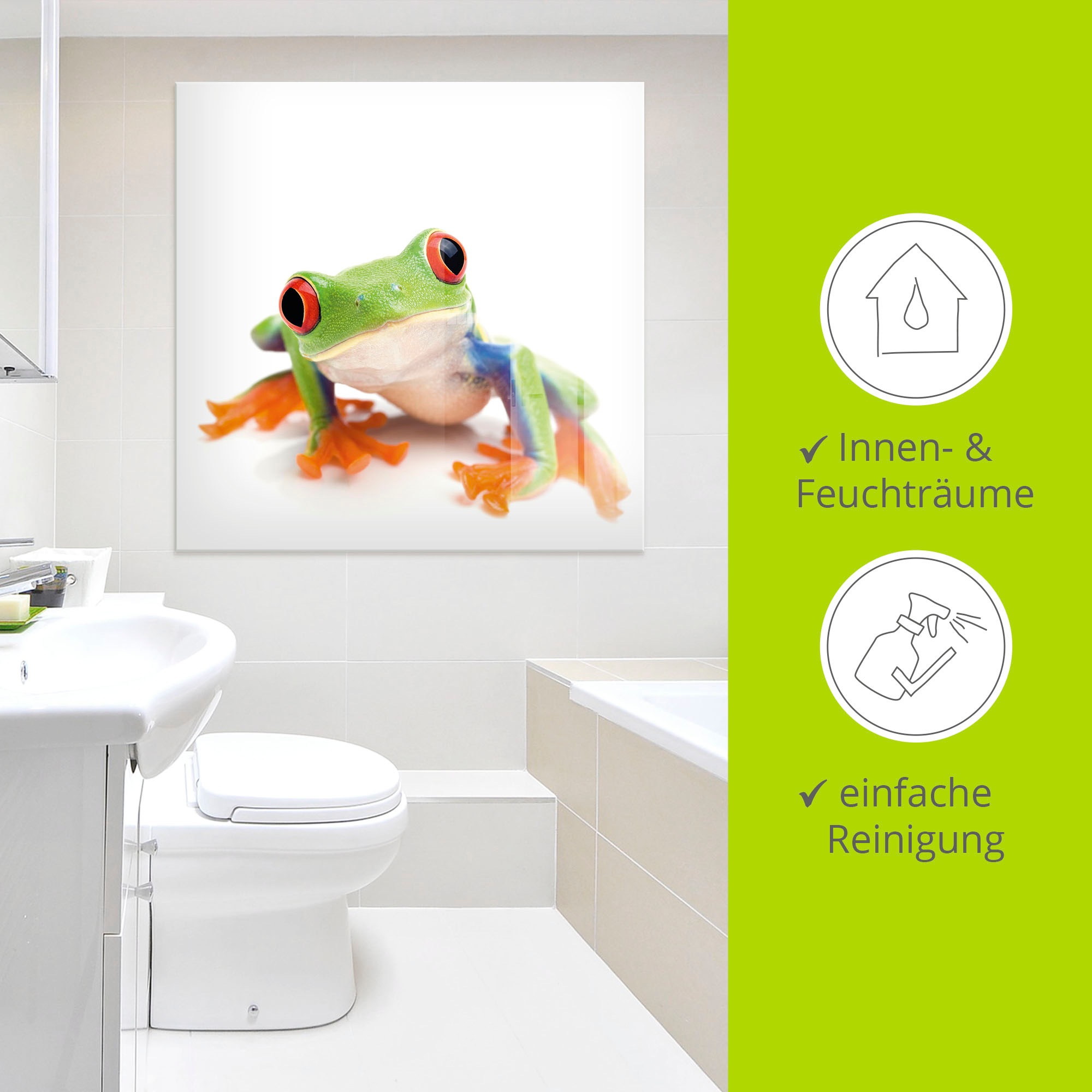 Artland Glasbild »Grossaufnahme eines Frosches vor weiss«, Wassertiere, (1 St.), in verschiedenen Grössen