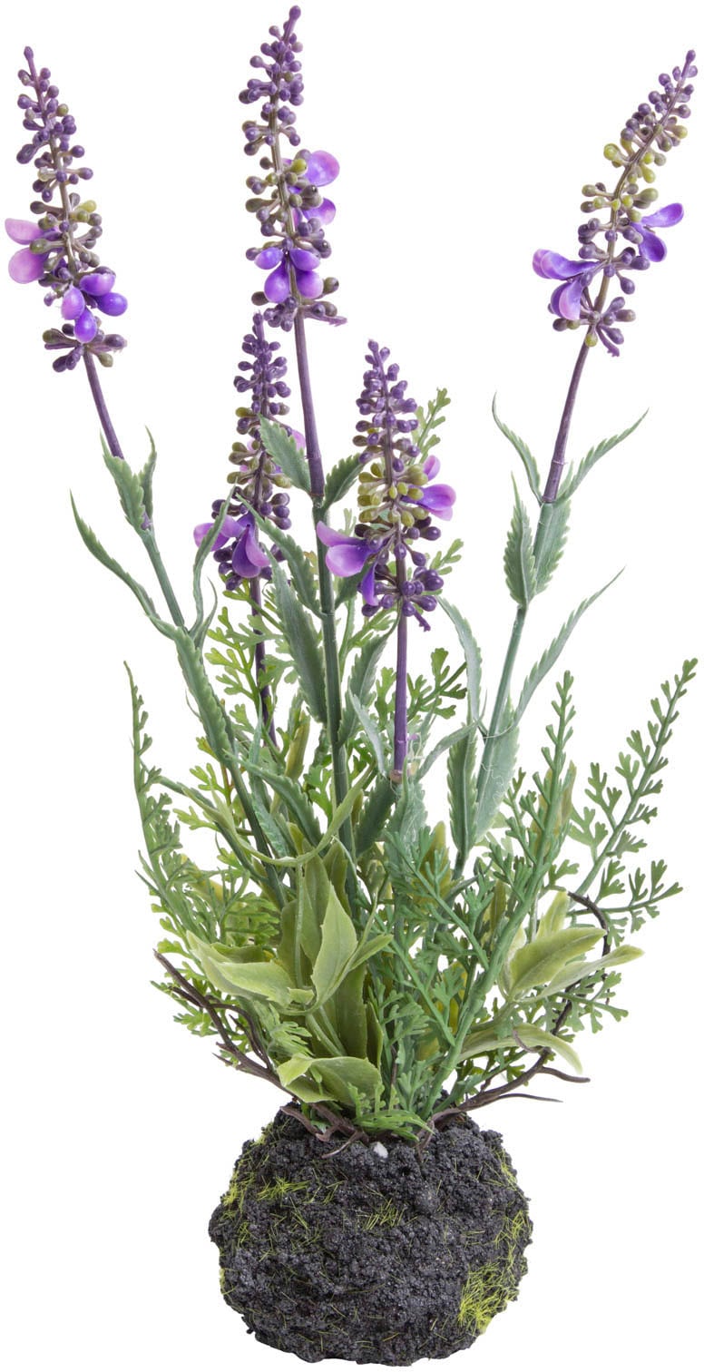 Botanic-Haus Künstliche Zimmerpflanze »Lavendel«