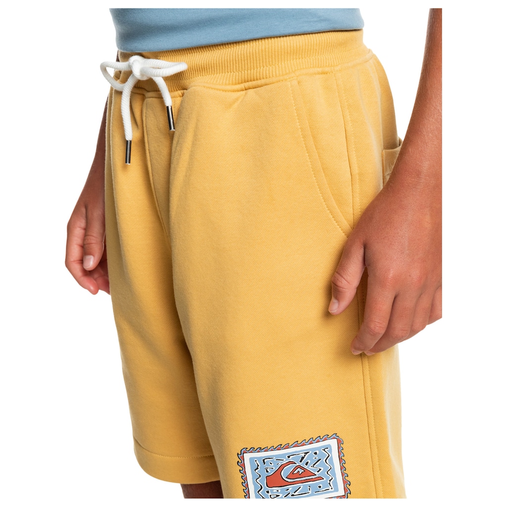 Quiksilver Trainingsshorts »Stir Roots Up 17"«