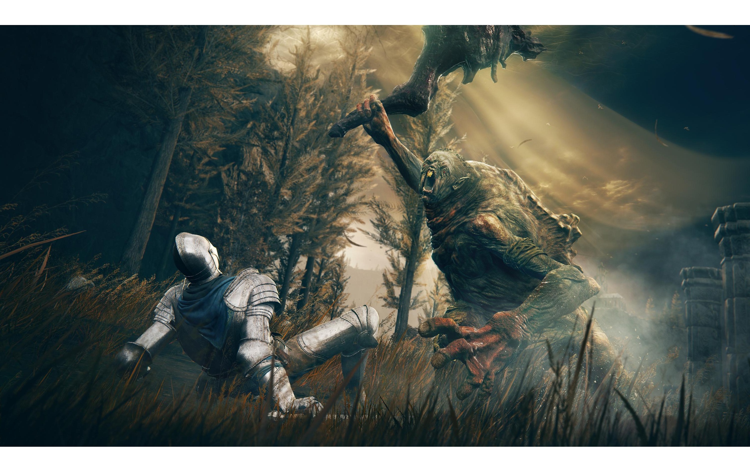 BANDAI NAMCO Spielesoftware »Namco Elden Ring – Shadow of the Erdtree Edition«, Xbox Series X