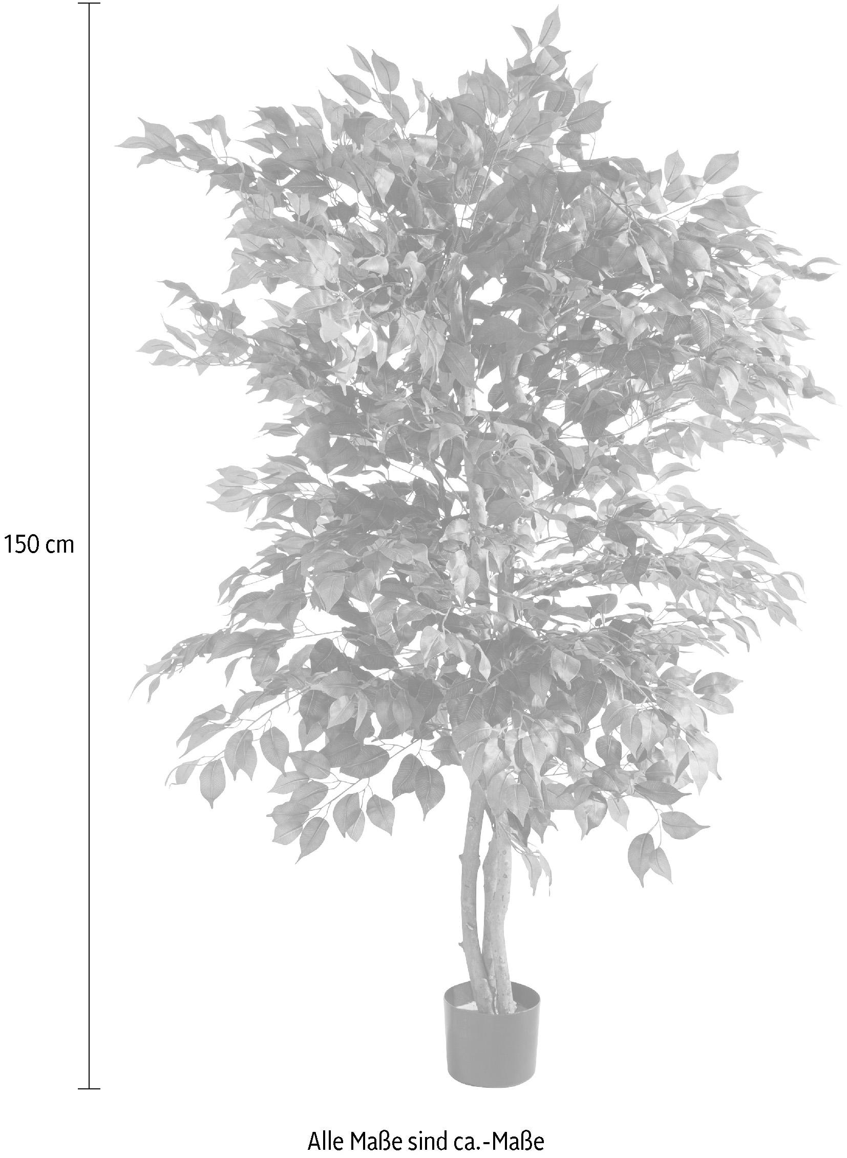 Creativ green Kunstpflanze »Ficus Benjamini«