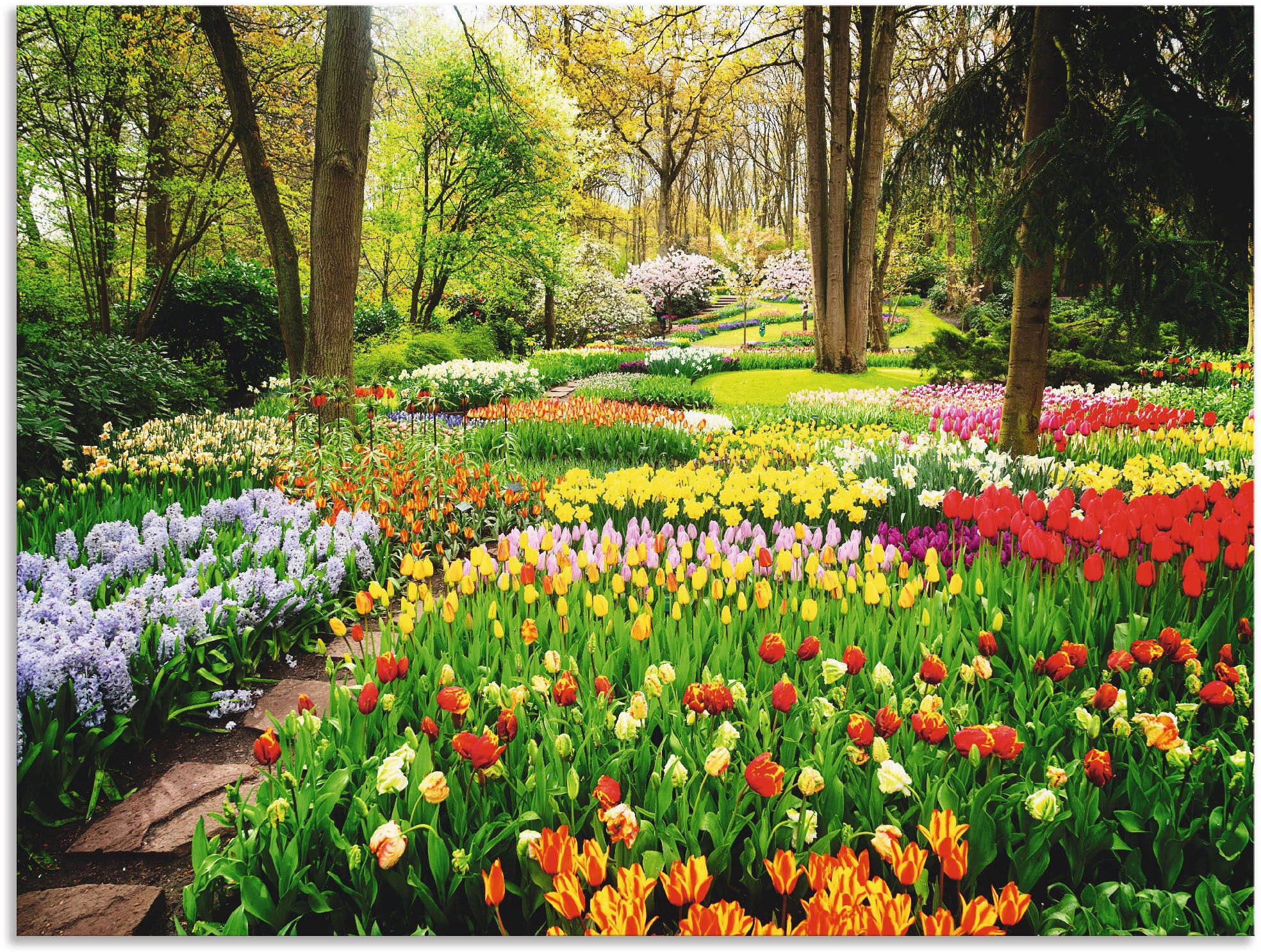 (1 | Garten online »Tulpen Frühling«, Wandbild shoppen Jelmoli-Versand Artland Blumenwiese, St.)