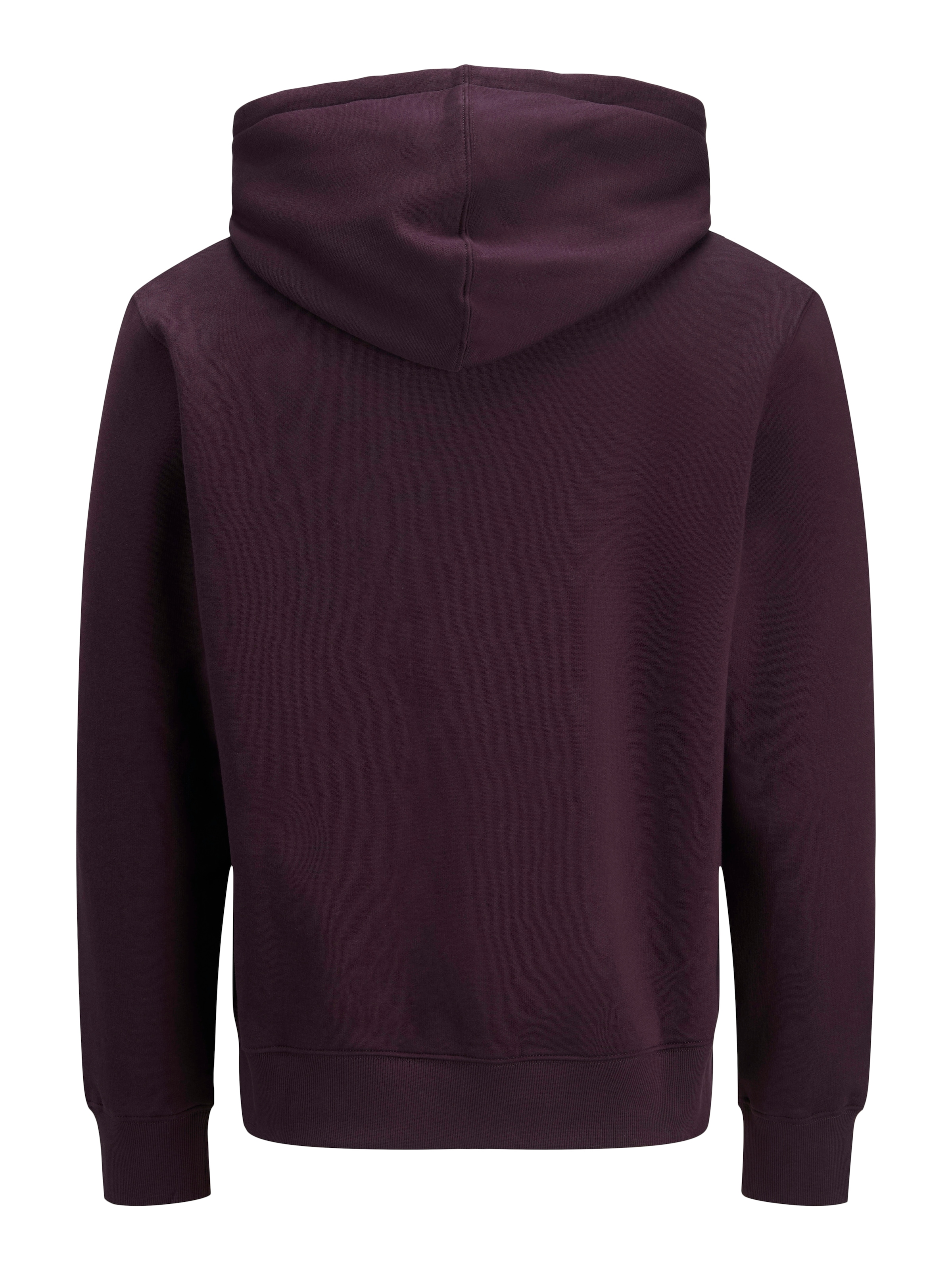 Jack & Jones Kapuzensweatshirt »JJESTAR mit 3D-Print und Kapuze für vielseitige Anlässe«, mit 3d-Print