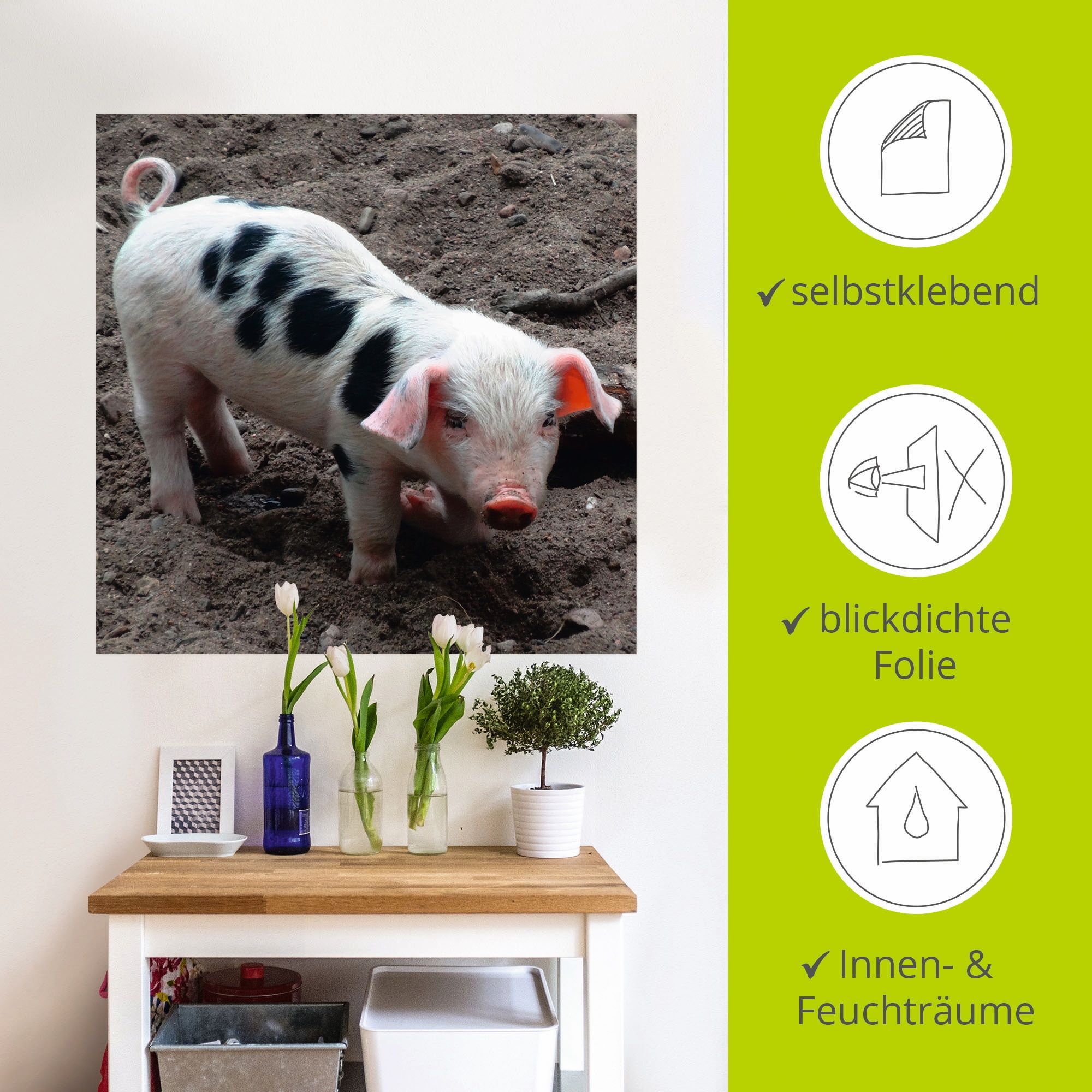 Artland Wandfolie »Niedliches Ferkel«, Haustiere, (1 St.), selbstklebend