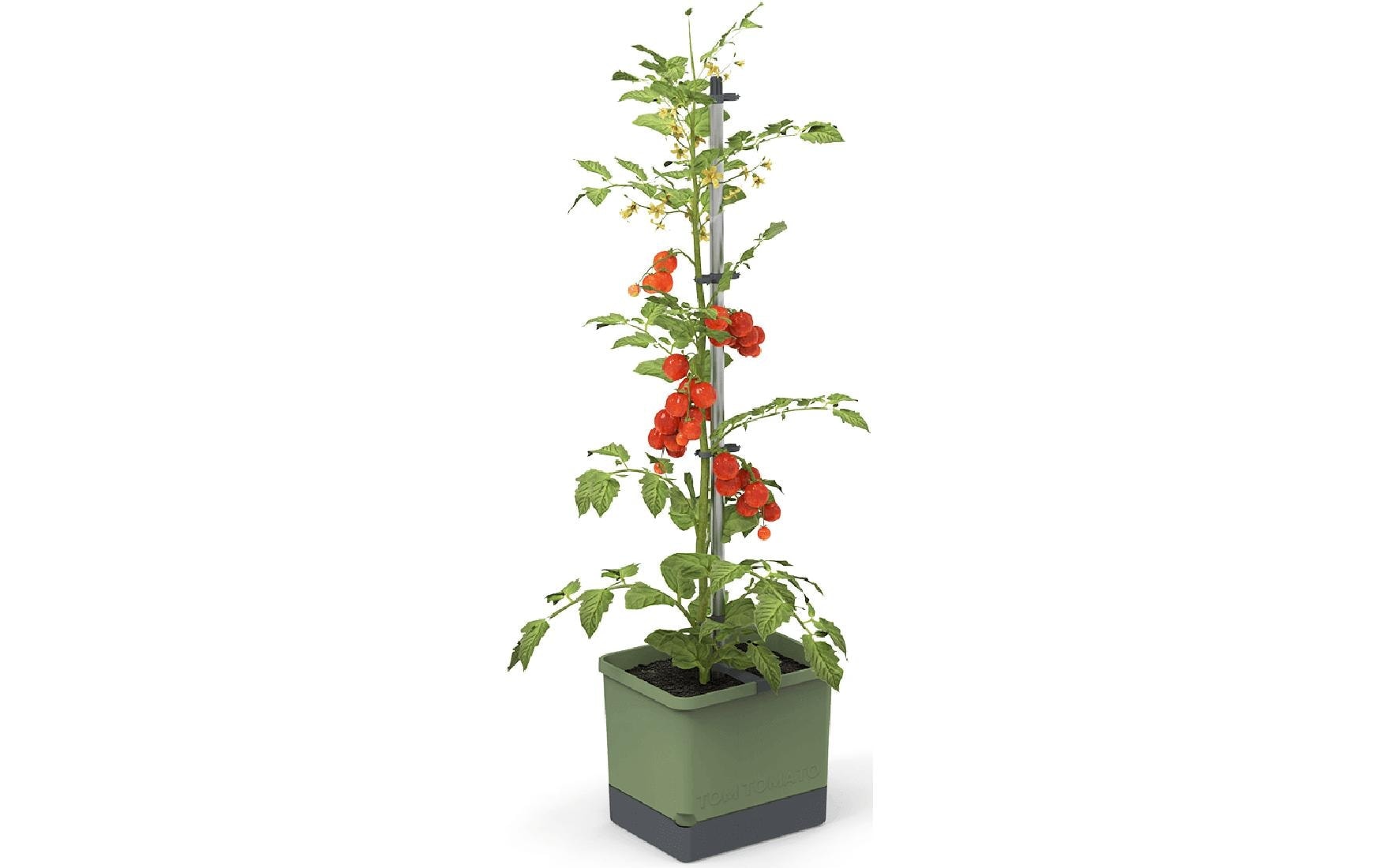 Gusta Garden Pflanzkübel »TOM TOMATO«, (1 St.)