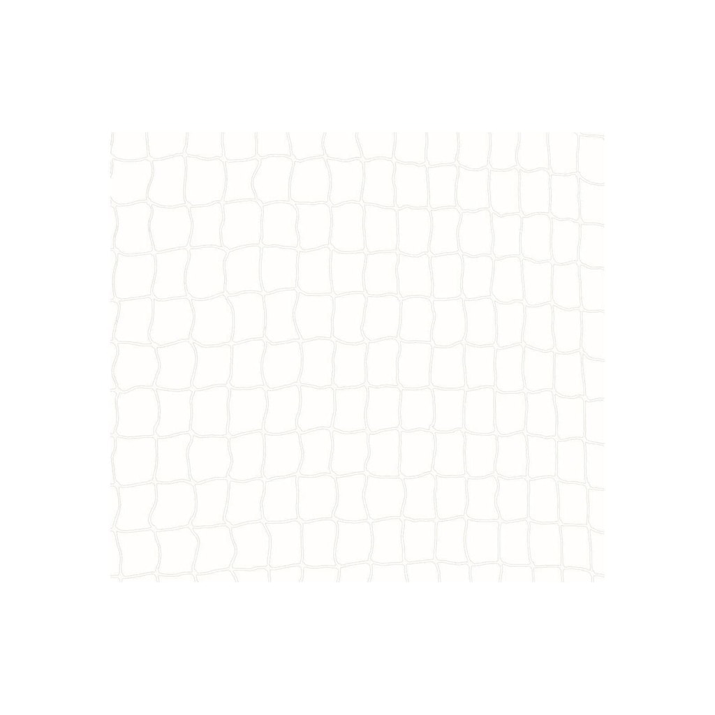 TRIXIE Schutznetz »4x3m, transparent«