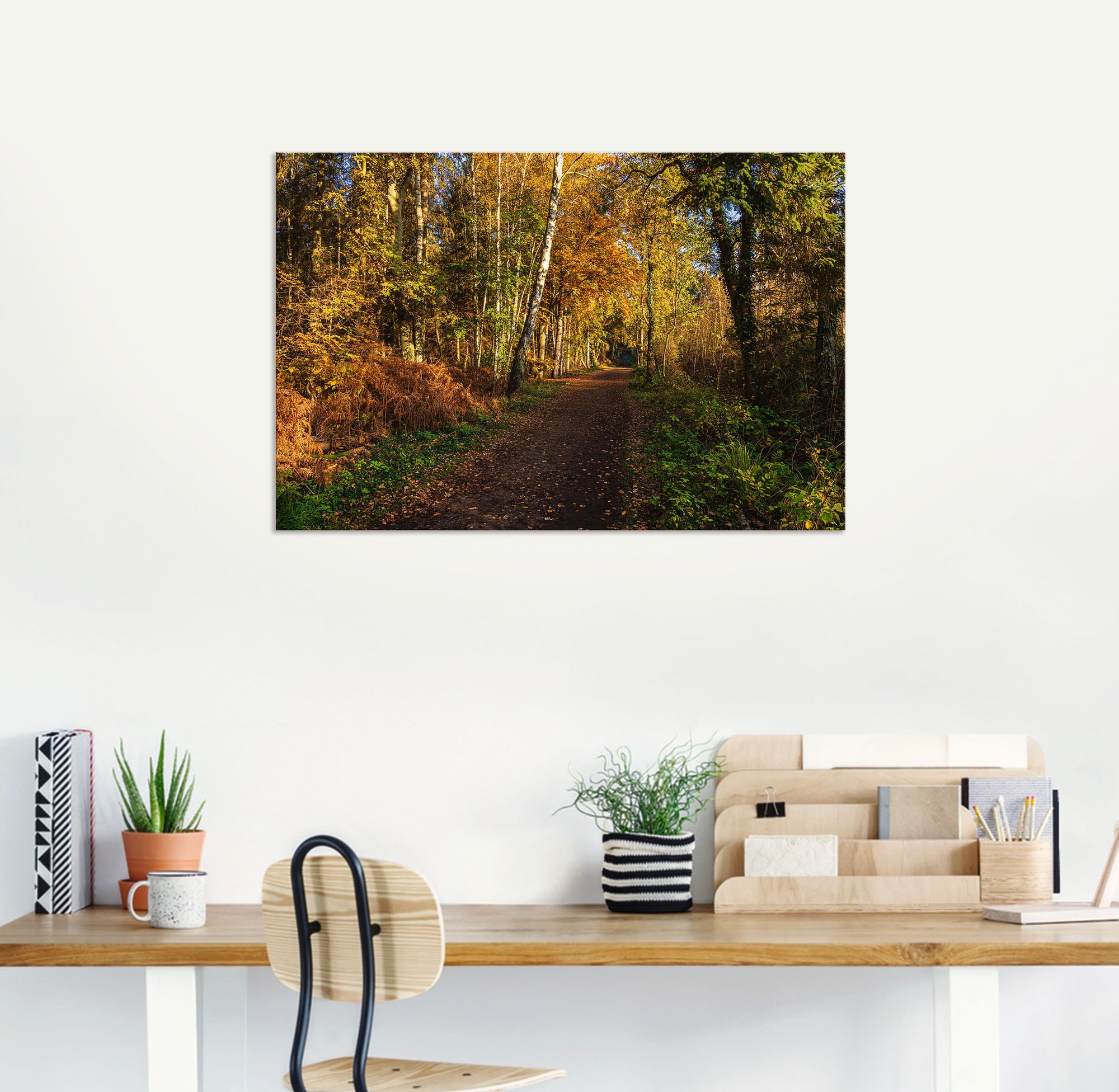 Artland Wandbild »Bäume herbstlich auf dem Fischland-Darss«, Waldbilder, (1 St.), als Alubild, Leinwandbild, Wandaufkleber oder Poster in versch. Grössen