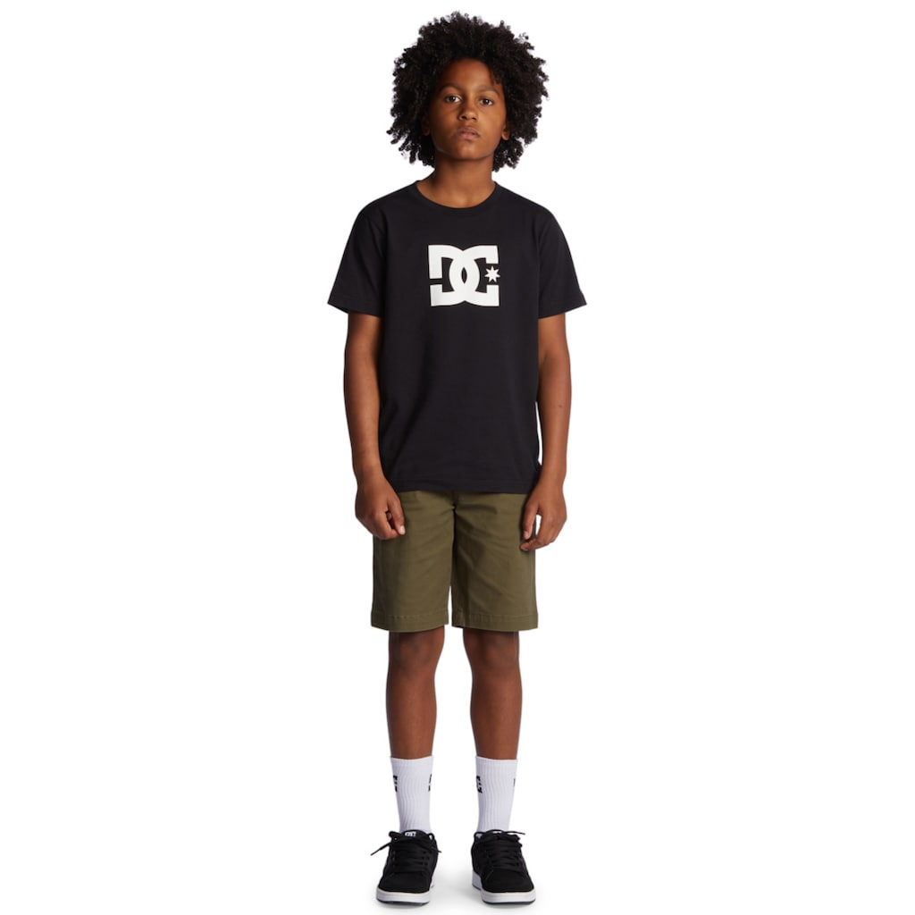 DC Shoes Chinoshorts »Worker Relaxed«