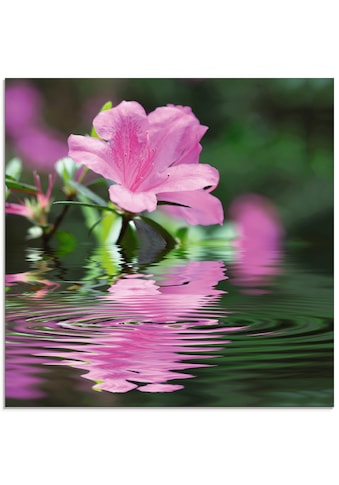 Glasbild »Azalee«, Blumen, (1 St.)