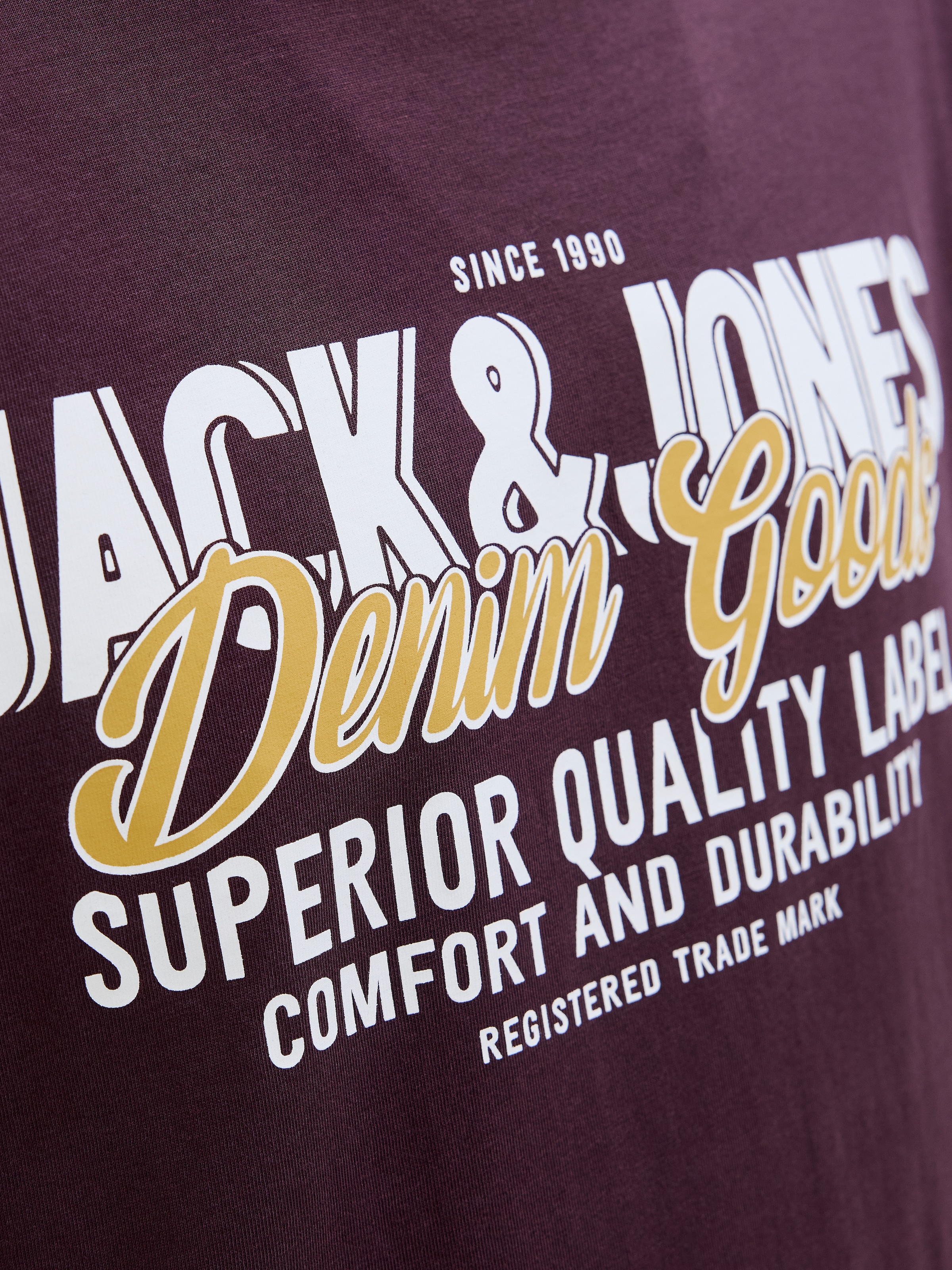 Jack & Jones PlusSize T-Shirt »JJELOGO TEE SS ONECK 2 COL AW25 NOOS PLS«
