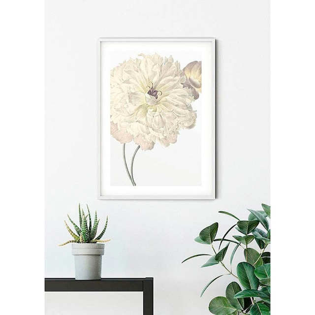 ❤ Komar Poster »Illustration Dahlia«, Blumen, (1 St.), Kinderzimmer,  Schlafzimmer, Wohnzimmer bestellen im Jelmoli-Online Shop