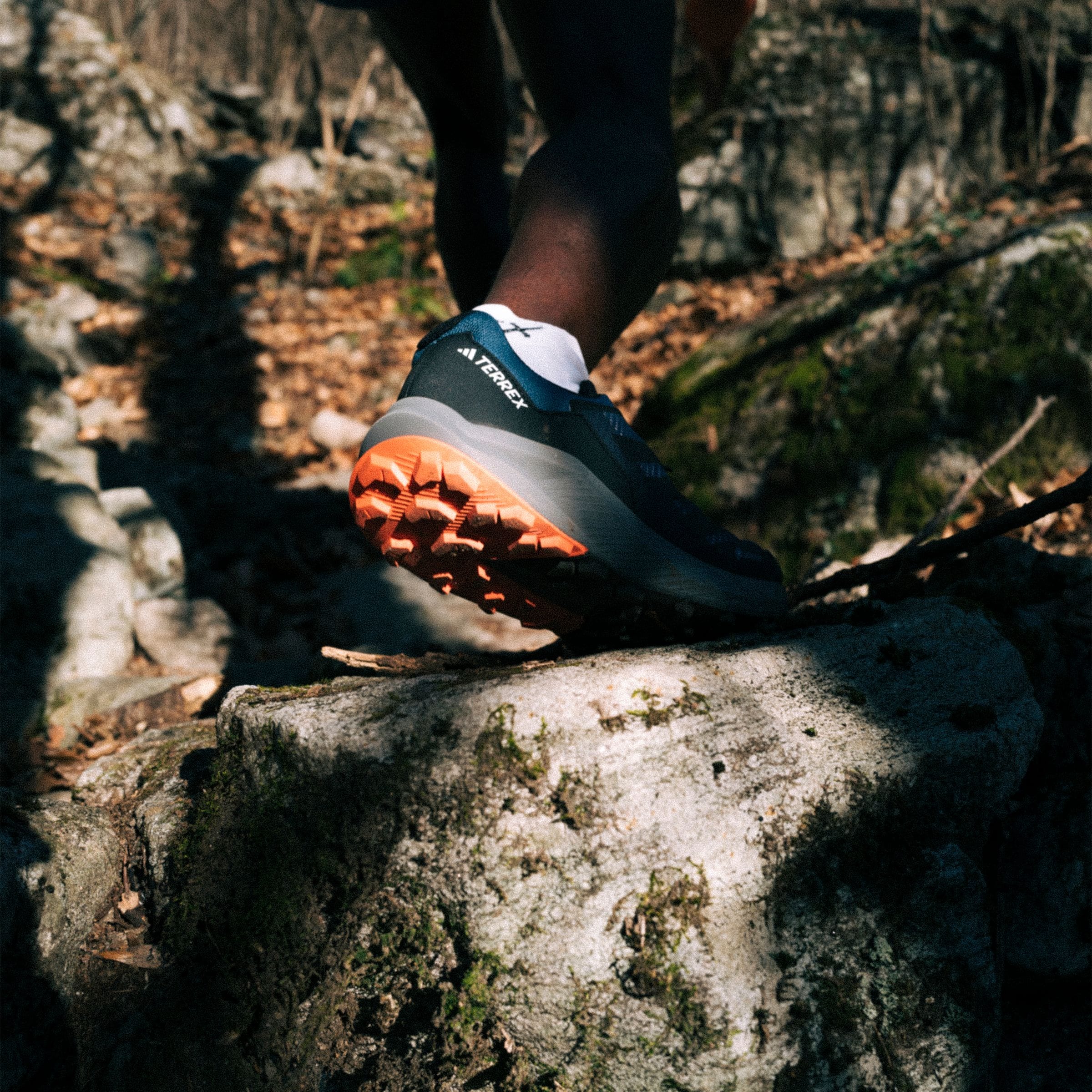 adidas TERREX Trailrunningschuh »TRAIL RIDER GORE-TEX TRAILRUNNING«, wasserdicht