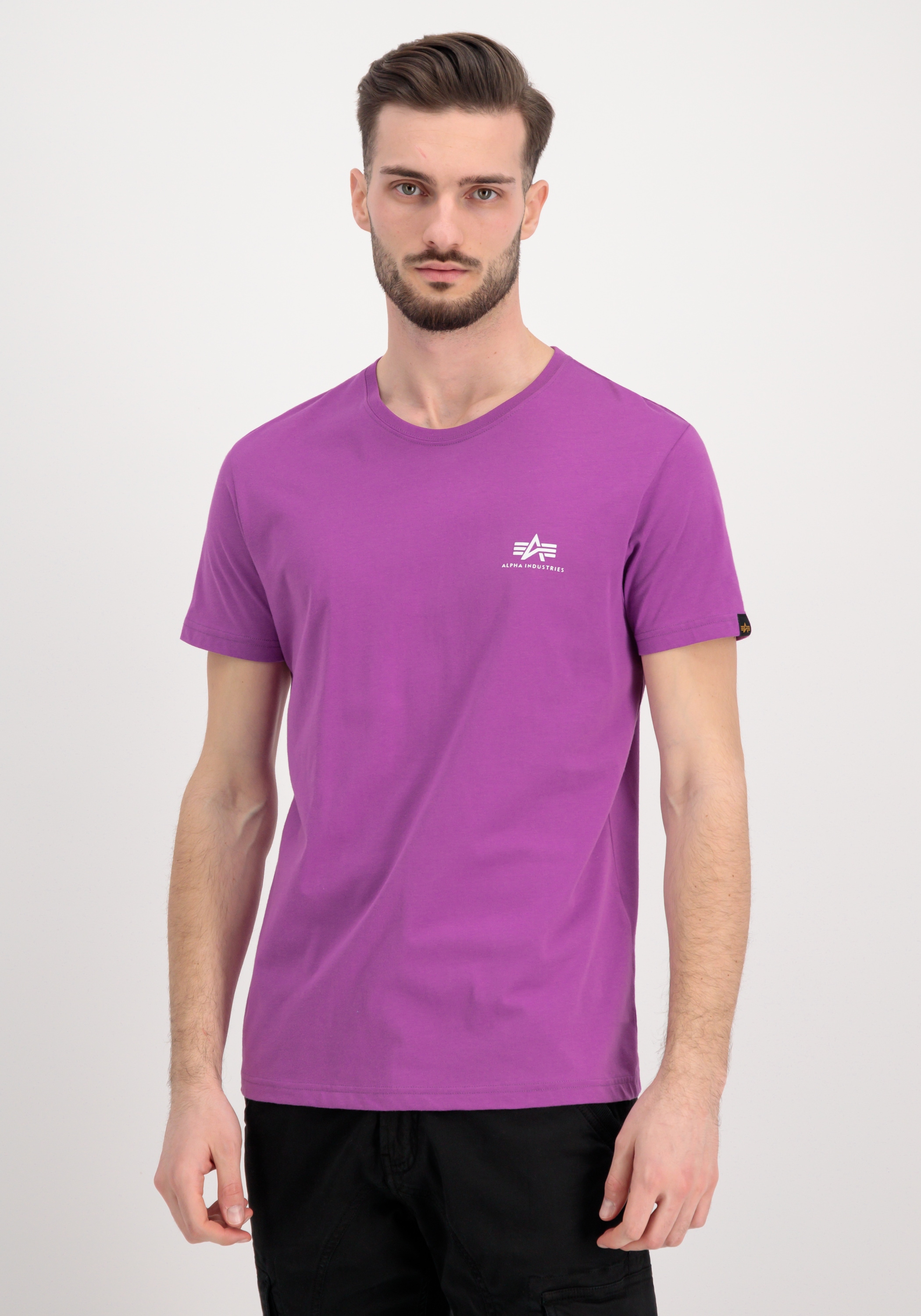 Alpha Industries T-Shirt »Alpha Industries Men - T-Shirts Backprint T«