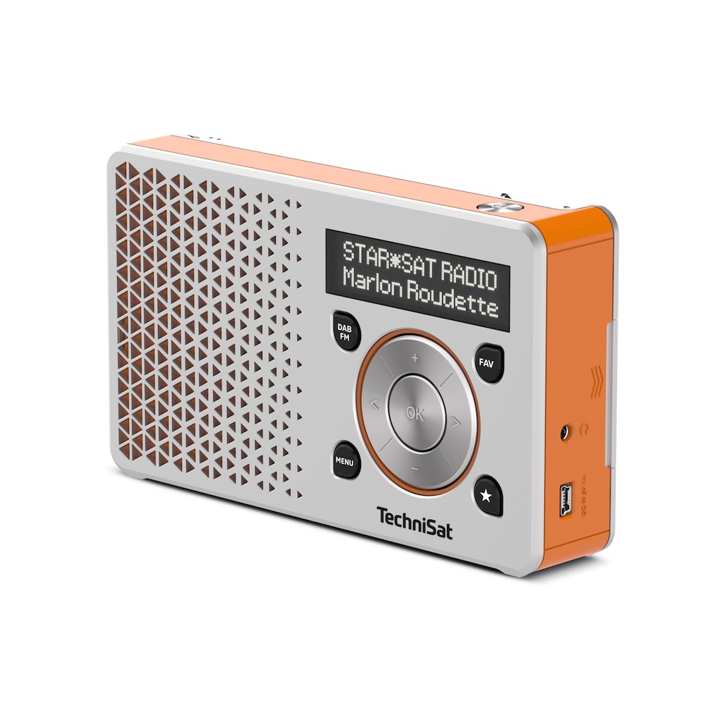 TechniSat Digitalradio (DAB+) »1 Orange«, (Digitalradio (DAB+)-FM-Tuner)