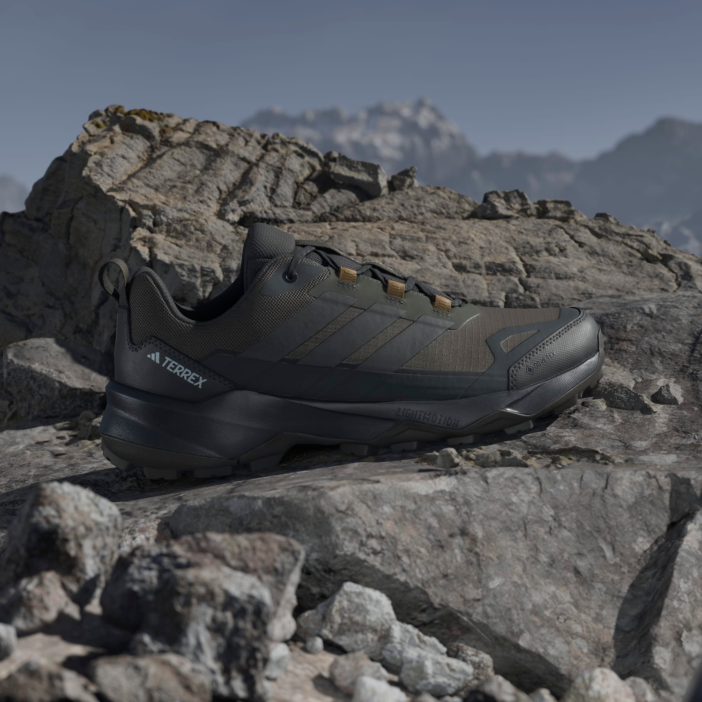 adidas TERREX Wanderschuh »SKYCHASER AX5 GORE-TEX E«, wasserdicht